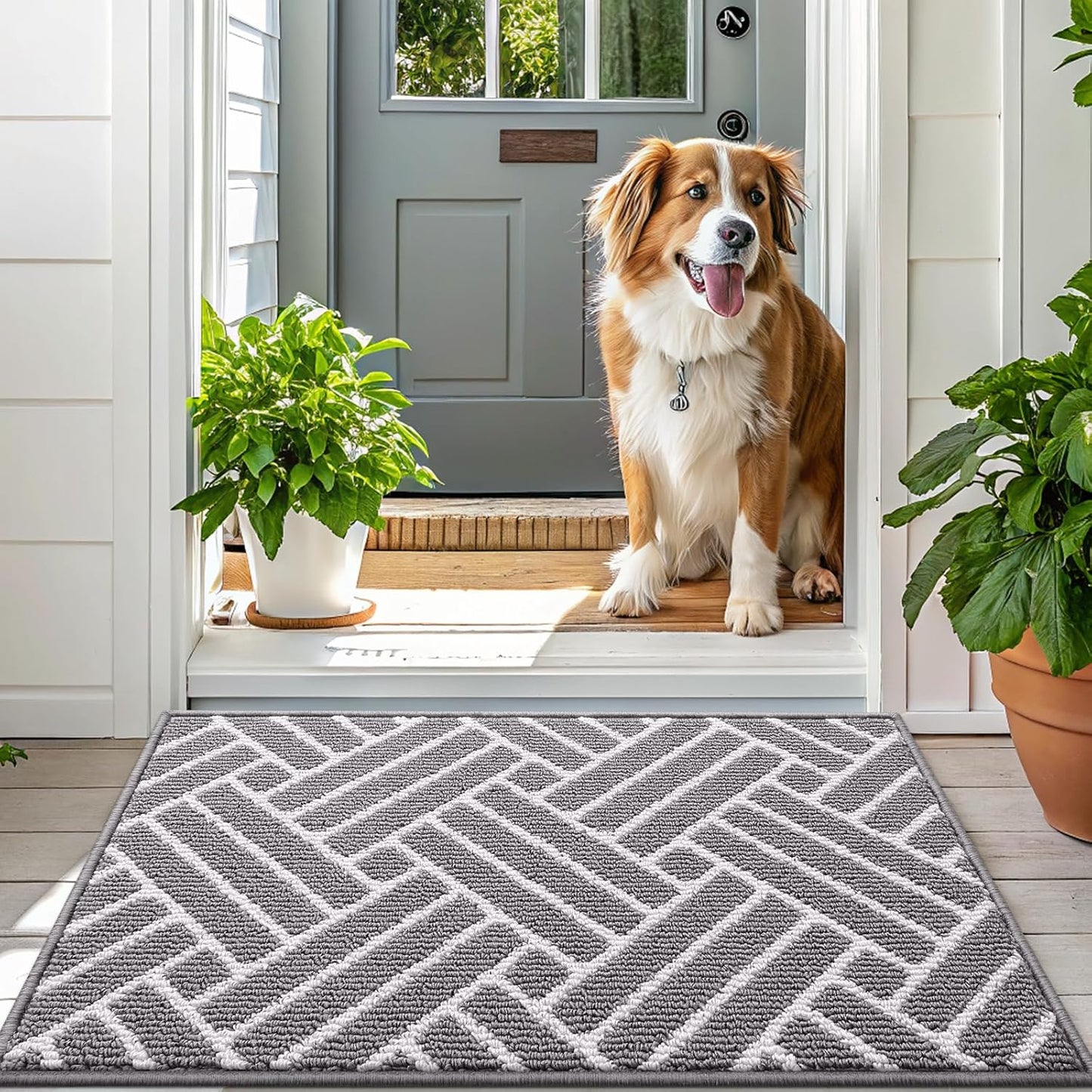 OLANLY Large Indoor Door Mat, 71x47 Inch, Dirt Resistant and Absorbent, Non-Slip Rubber Backing Floor Mats, Easy Clean Low-Profile Doormat for Entryway, Front Door, and Inside Entrance, Grey