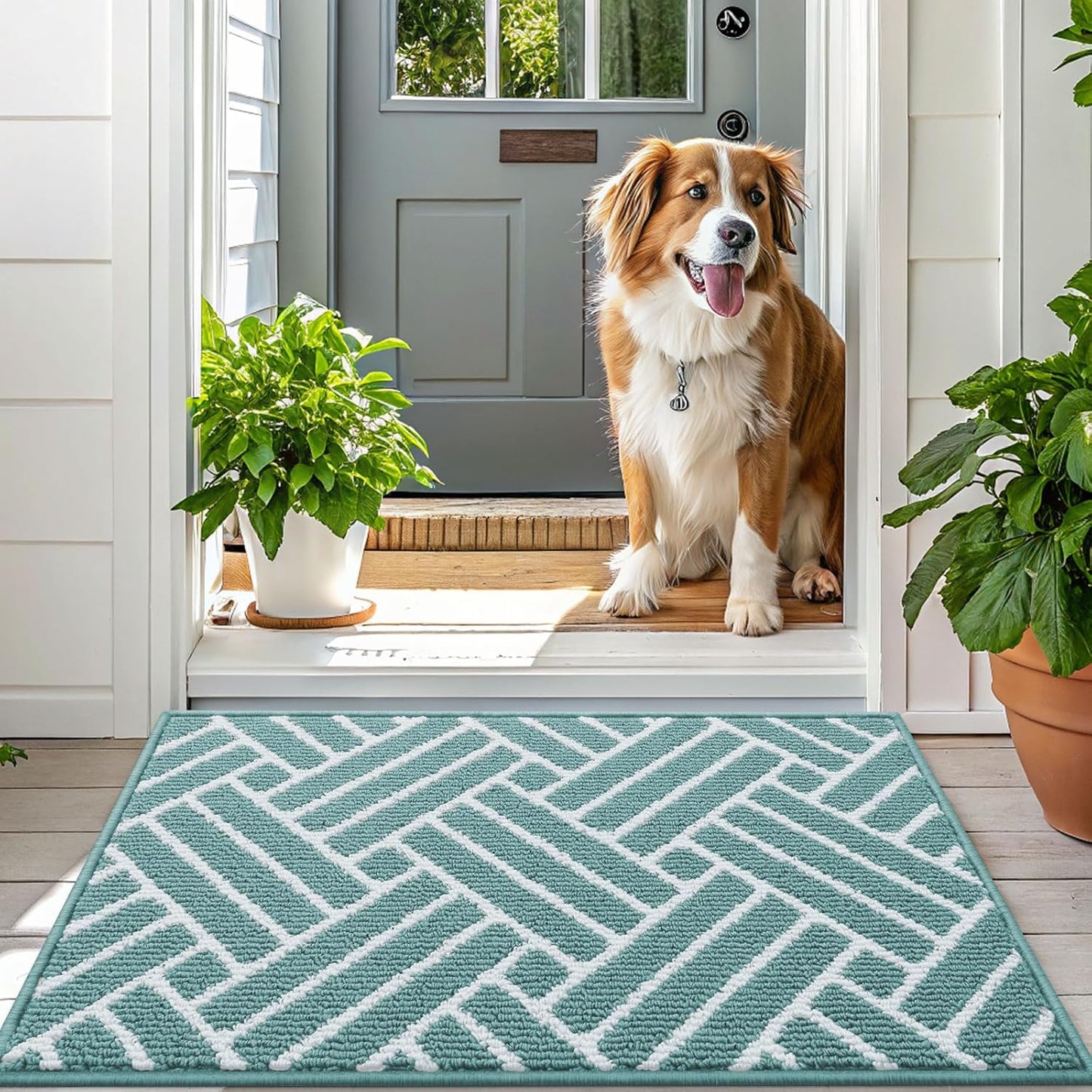 OLANLY Indoor Door Mat, 48x32 Inch, Dirt Resistant and Absorbent, Non-Slip Rubber Backing Floor Mats, Easy Clean Low-Profile Doormat for Entryway, Front Door, and Inside Entrance, Sage Green
