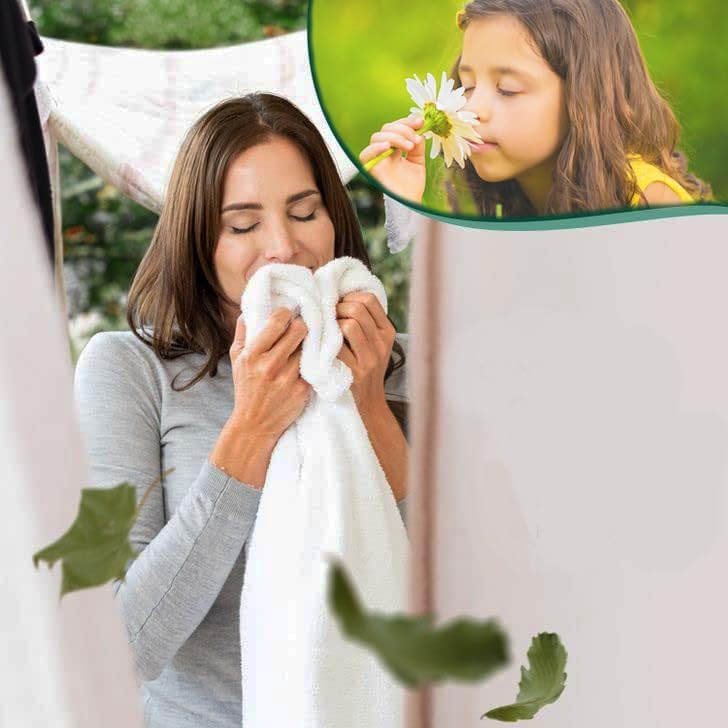 200 Single Laundry Dryer Sheets(6.4"x9")w/ Easy Dispenser Box Packaging,Household Premium 4 in 1 Fabric Softener Fresh Scent,Drive Clothes Ultra Soft,Plus 200 Pulls ZNRO 4-Ply 6.1"x6.9" Facial Tissues