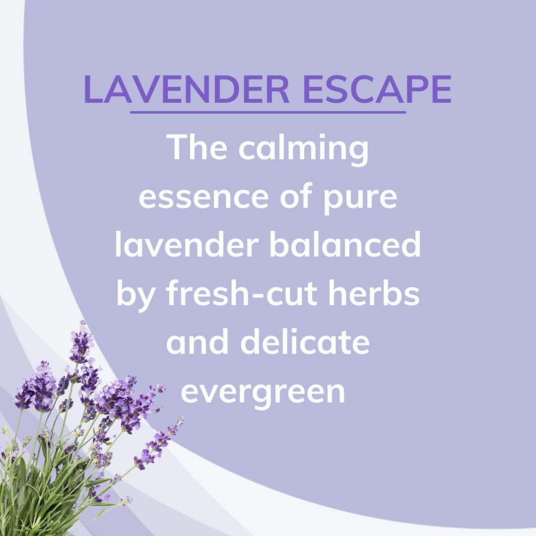 Citrus Magic Odor Absorbing Solid Air Freshener, Lavender Escape, 8 Ounce (Pack of 3)