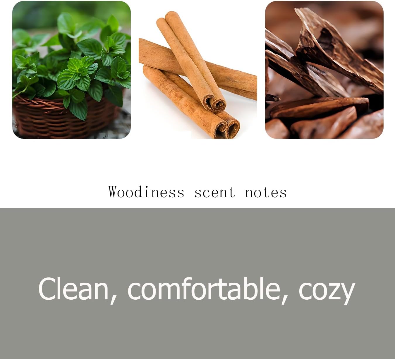 Car Air Freshener, Woodiness Air Freshener, Odor Eliminator, Woodiness Scent Starter Kit Car Visor (Pack of 3, No clip included)