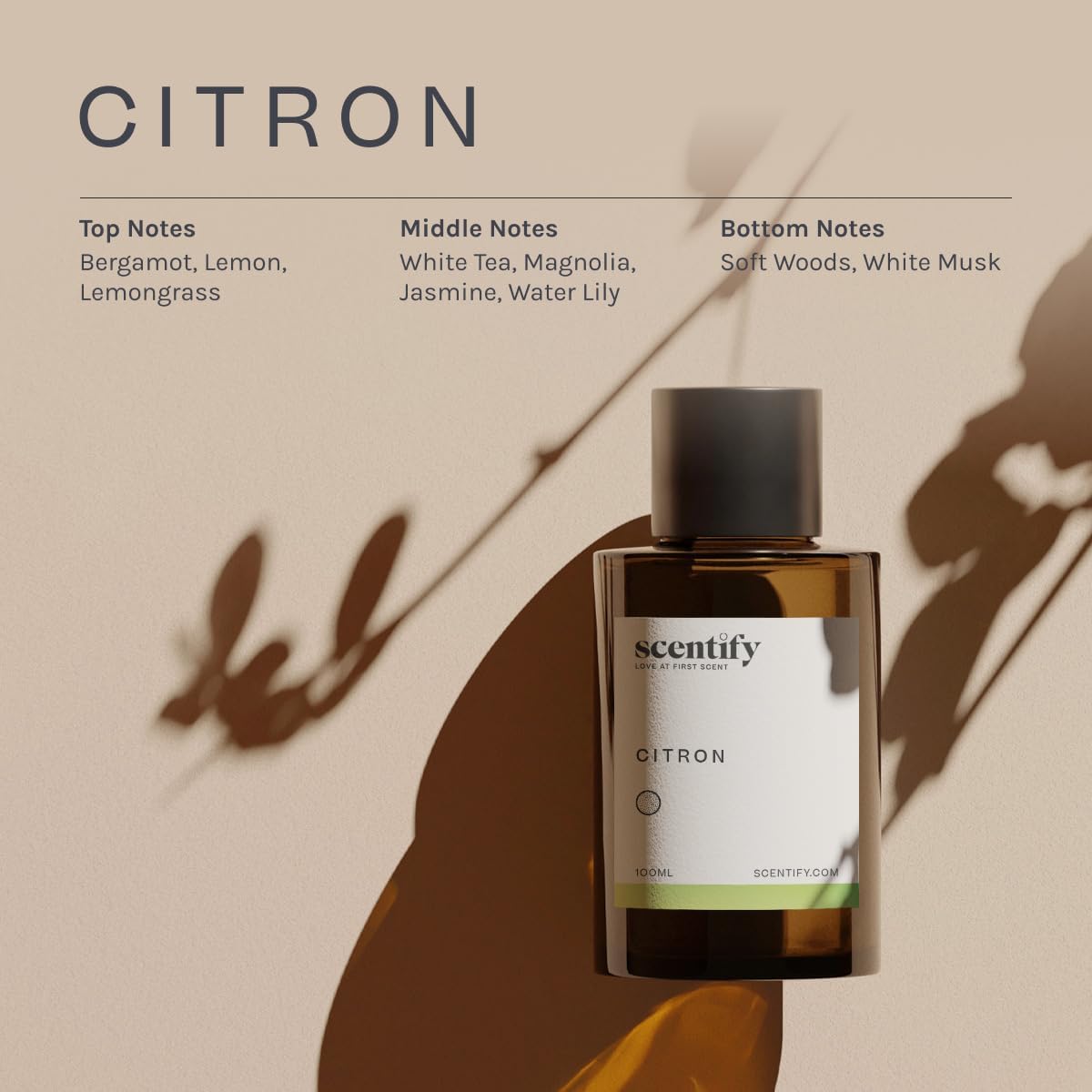 Scentify Citron Aroma Oil Refill Scent for Oil Diffusers - Lemon, Jasmine, Musk, Woods Scents - Luxurious Relaxing Aromatherapy Diffuser Fragrance 100ml, 3.38 oz