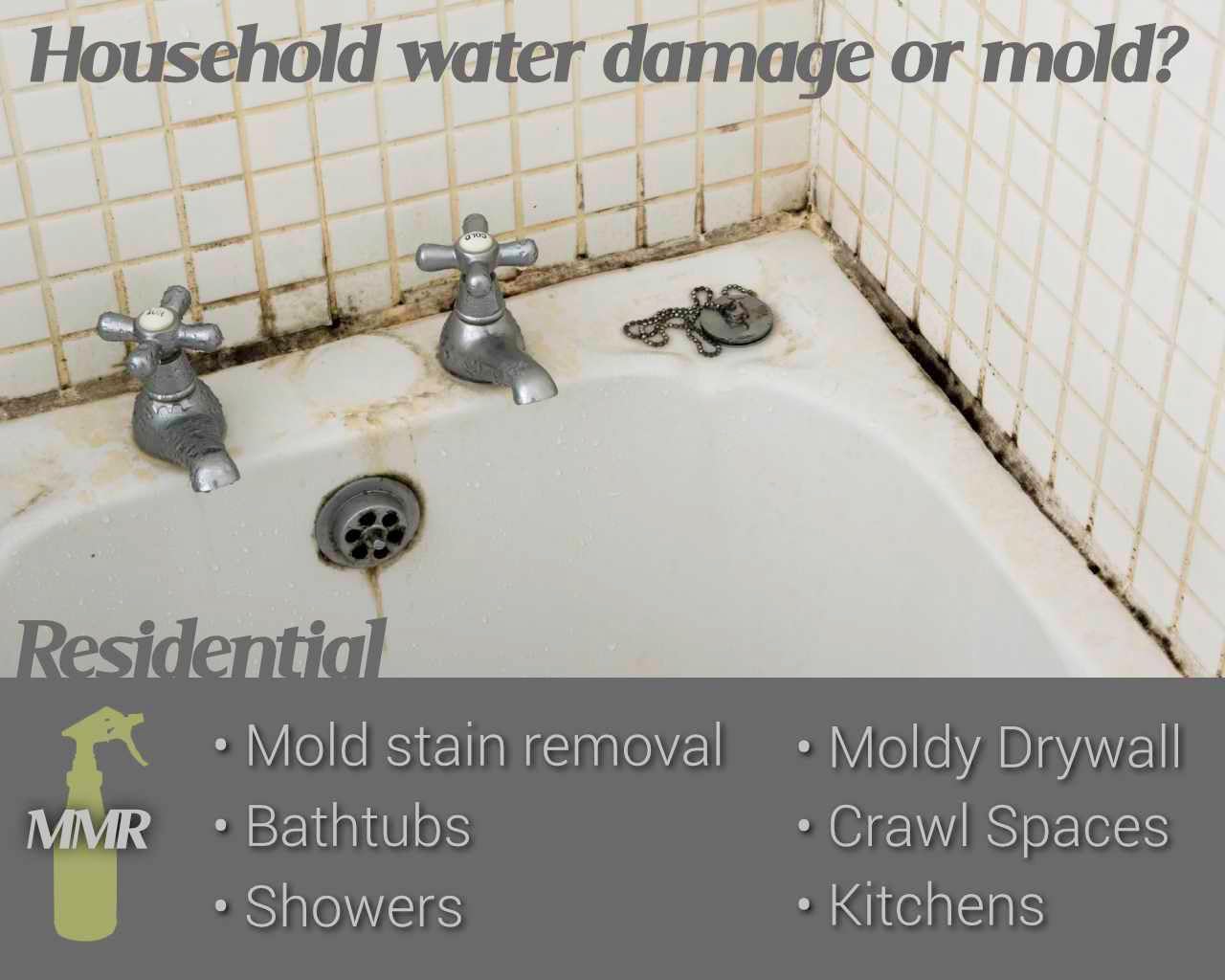 Bad Axe MMR Instant Mold Stain and Mildew Stain Remover - Professional Strength, Contractor Grade Cleaning Solution, Professional Quality Formula, Odor Removal, 1 Gallon (1)