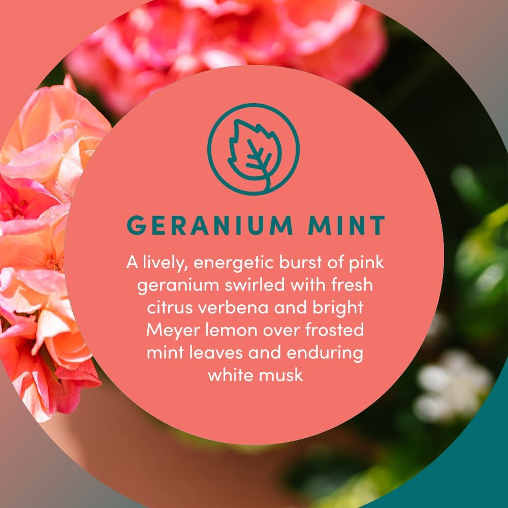 Clean Revolution Liquid Gel Hand Soap, Silky Rich Liquid, Quick Lather, Fast Rinsing, (Geramium Mint) 128 Fl Oz, 4 Pack - Made in USA