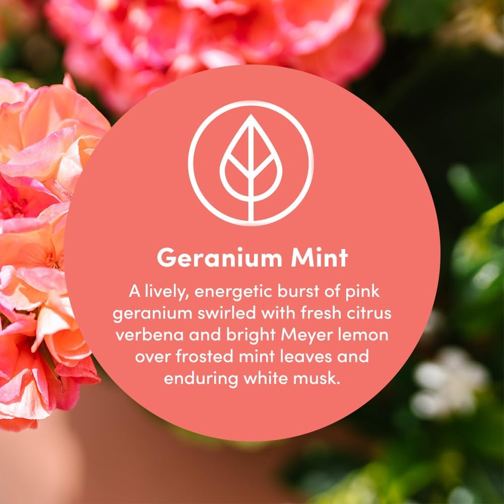 Clean Revolution Foaming Hand Soap Refill Supply Container, Ready to Use Formula, Gluten Free, Geranium Mint Fragrance, 128 Fl. Oz, 4 Pack - Made in USA