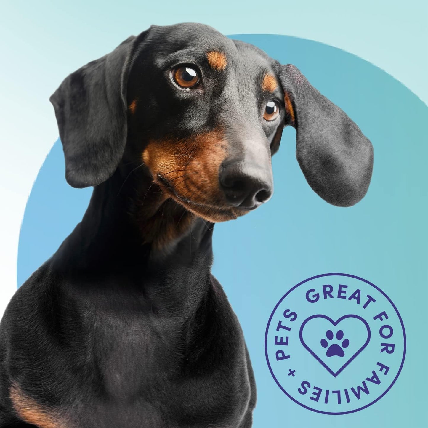 Bioesque Urine Neutralizer, Pet-Friendly Natural Enzymatic & Bacterial Formula, Instantly Breaks Down Urine Odors, Helps Prevent Repeat Mishaps, 1 Gallon (Pack of 4)