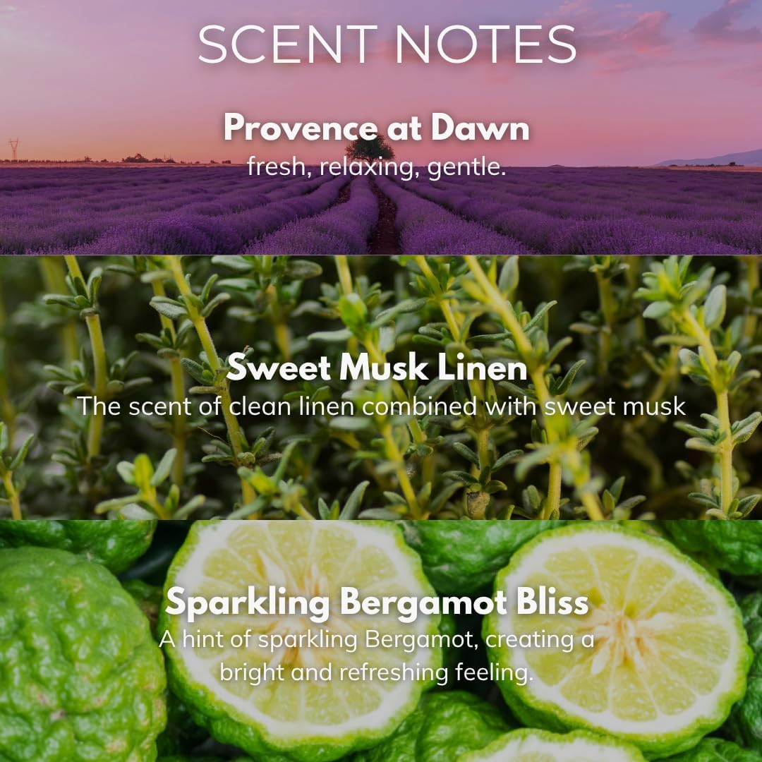 Fresh Lavender Candle 22oz Glass Jar with Wooden Wick in a Decorated Jar Within a Presentation Gift Box and Protective Shipping Box