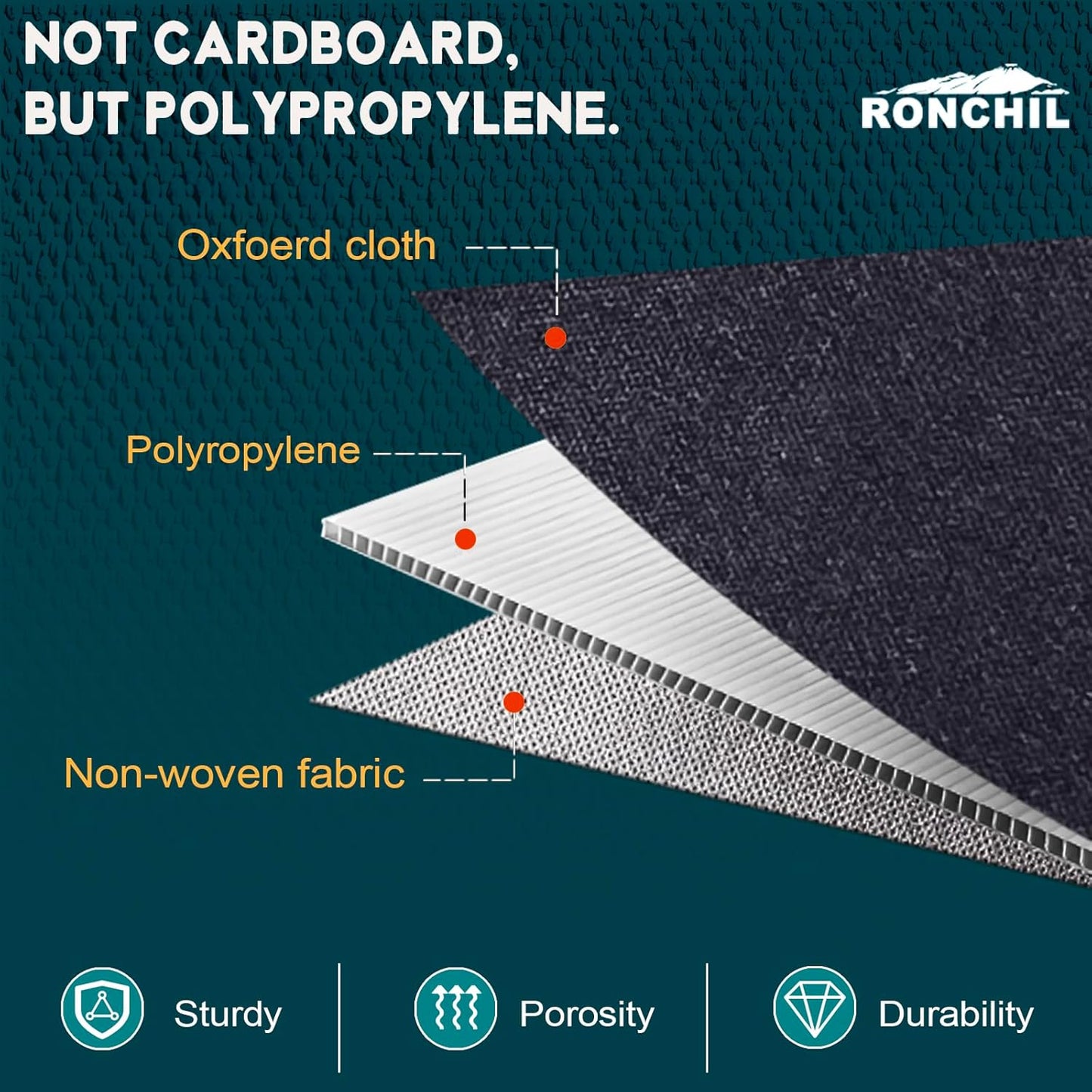 Shoe Organizer for Closet, Foldable Shoe Storage Bins with Clear Cover, Space Saving Shoes Holder with 4 Handles, Large Adjustable Shoe Box Storage Containers, Fits 12-24 Pairs, 1 Pack, Black