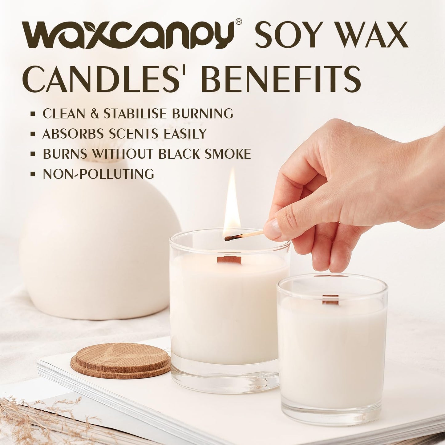 Soy Wax Flakes, Waxcanpy Natural Candle Wax, Organic Soy Wax for Candle Making from Farm, No Additives, Harmless and Pure (20lb)