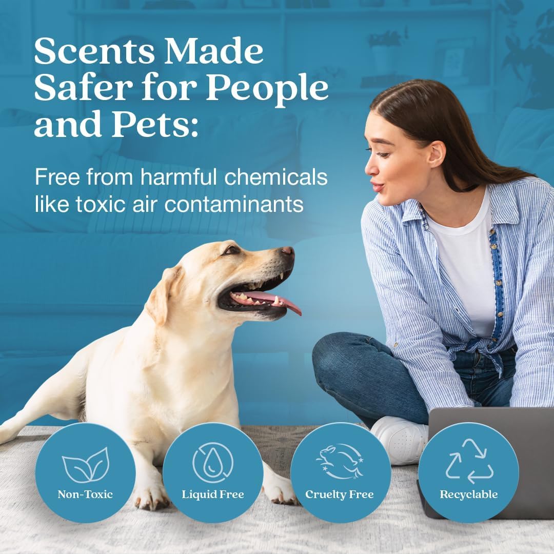 Enviroscent Non-Toxic Air Freshener for Home | Liquid Free Diffuser | Home Fragrance Lasts Over 30 Days | Kit includes 1 Mango Wood Stand & 1 Scent Stix Refill (Spring Water & Lotus)