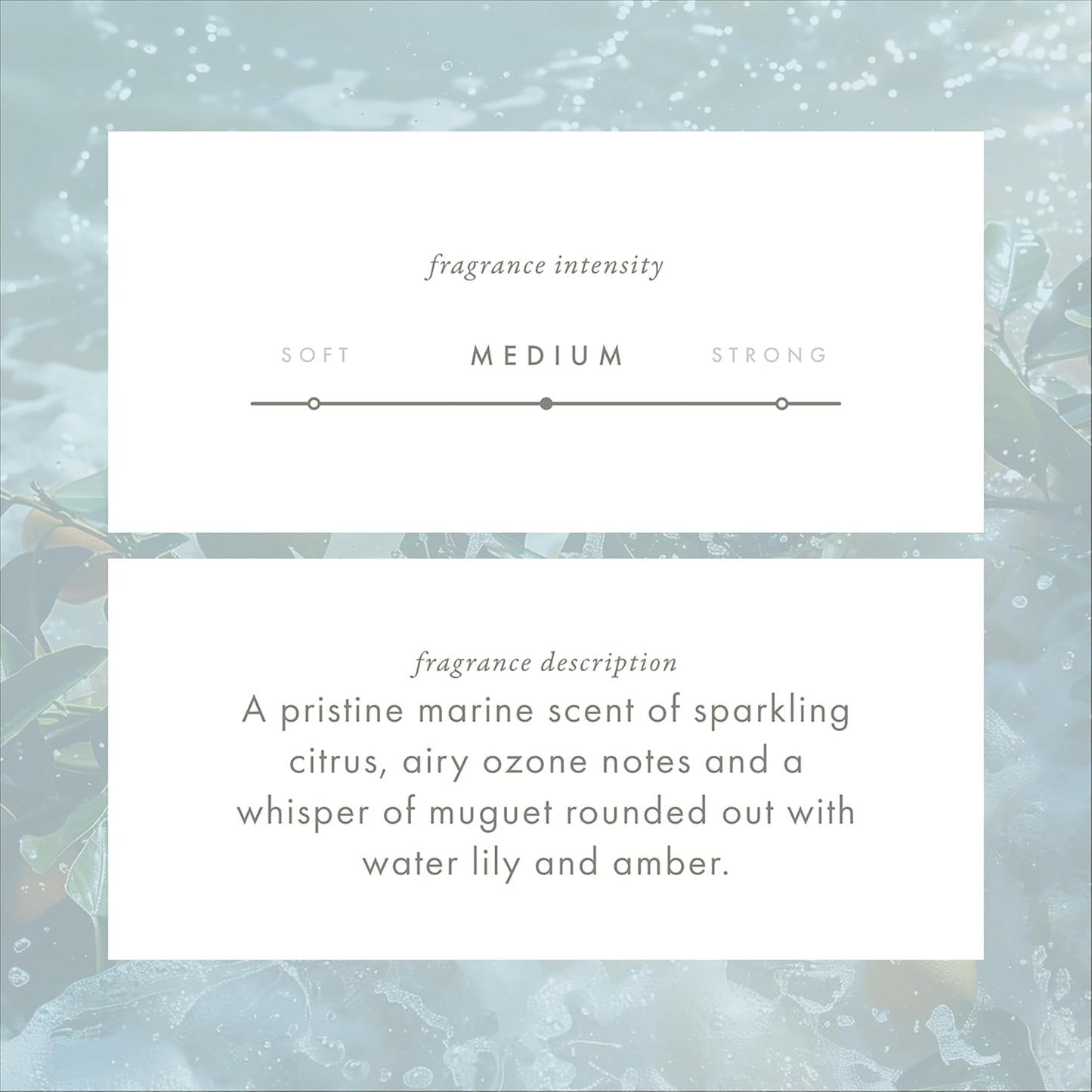 ScentAir Whisper Home Monthly Plug-in Refill, Fragrance Cartridge for Home and Office, Ocean