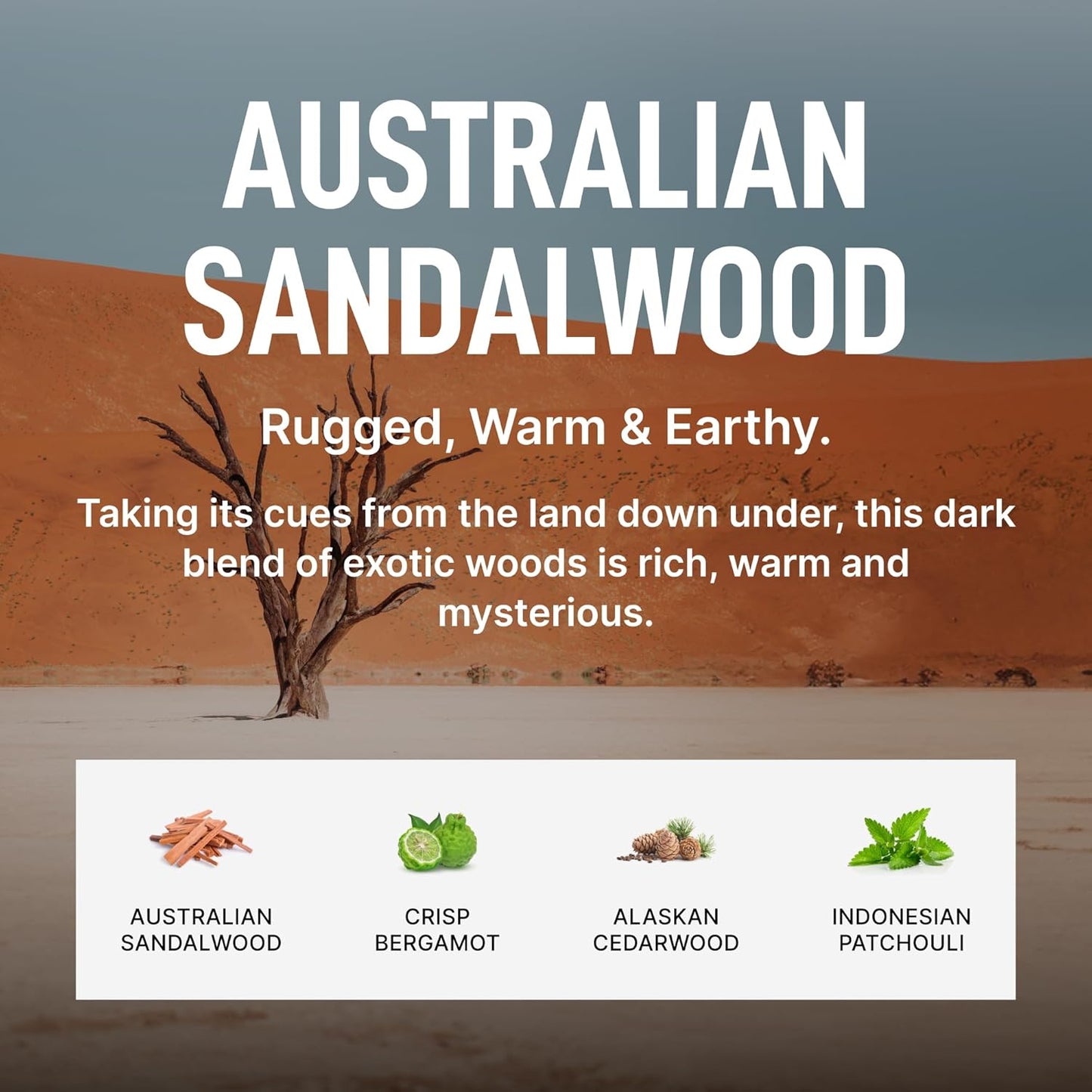 Laundry Sauce Fabric Refresher Spray Australian Sandalwood, Odor-Fighting Fabric Refresher, Fragrance and Laundry Scent, 9.8 fl oz