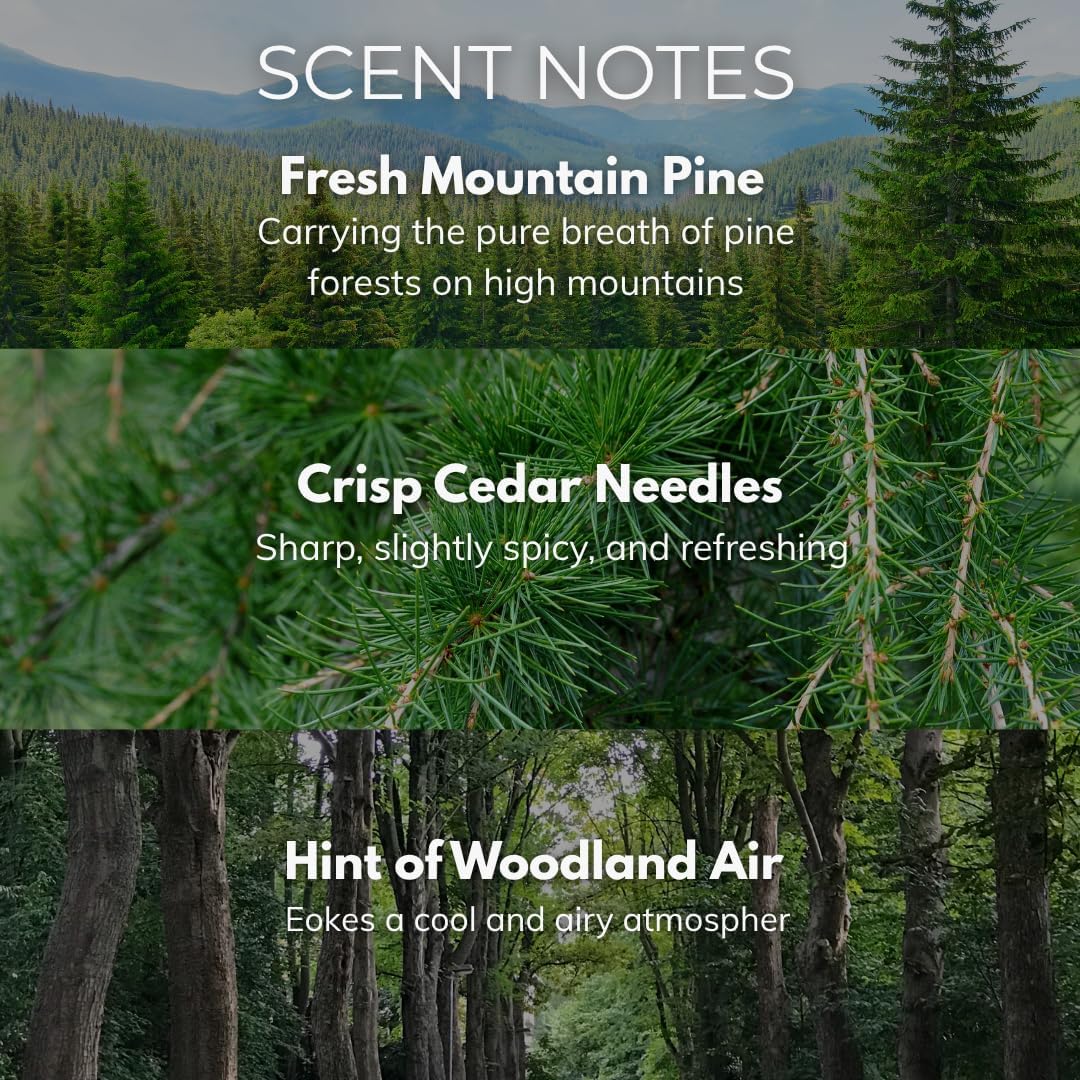 Pine Candle - Large 22oz Glass Jar with Wooden Wick 130 Hours Burn Time - Decorated Jar Within a Presentation Gift Box and Protective Shipping Box