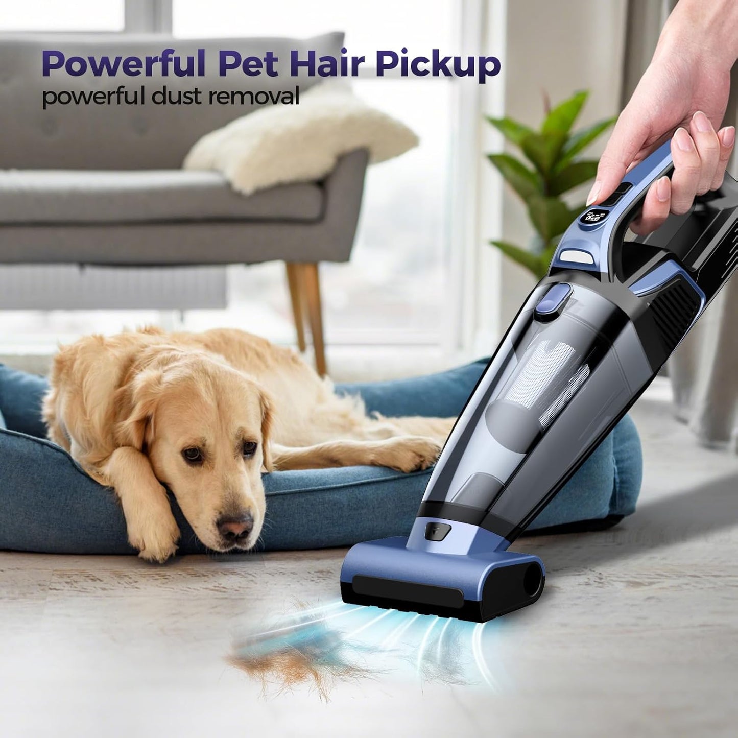 Pet Hair Handheld Vacuum Cordless: 20000PA High Power Car Vacuum with Motorized Brush and LED Light, Rechargeable Hand Held Vacuum Cleaner with Reusable Filter for Car, Home, Office & Pet, Blue