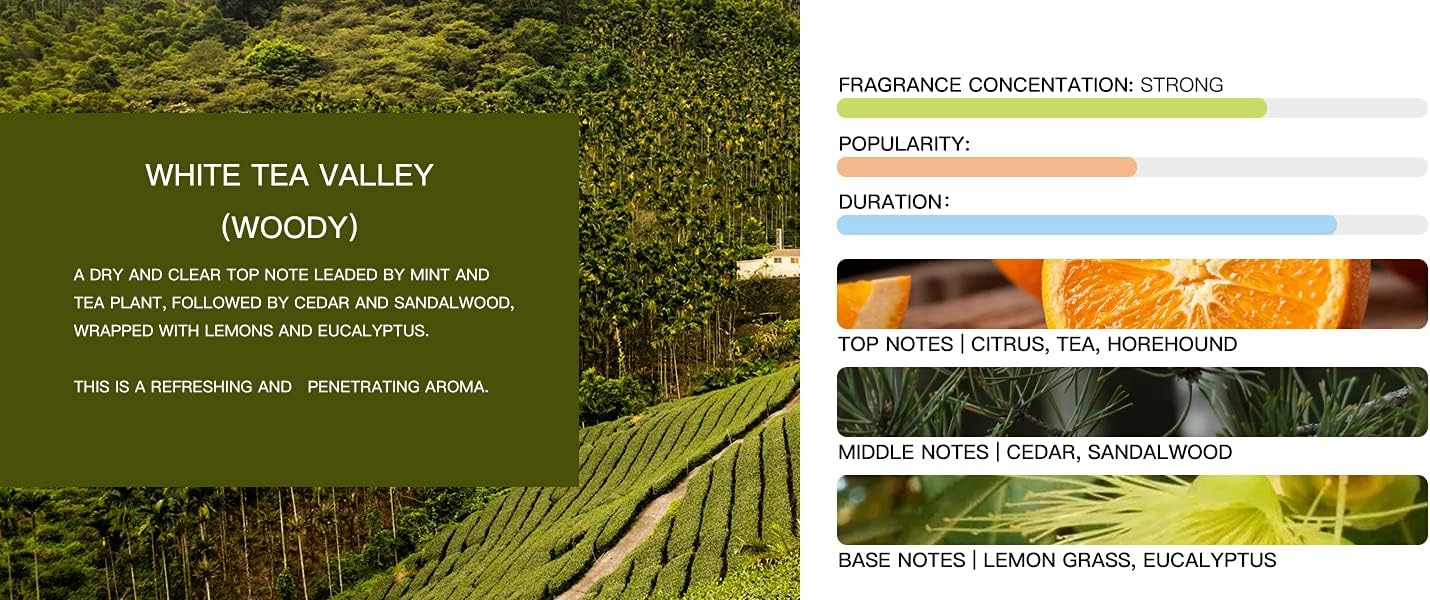 Tesla Model 3 [Not Compatible with Model 3 2024 (Highland)] /Y Air Freshener Invisible Slim Design Four Scents Selection (White Tea Valley Set)