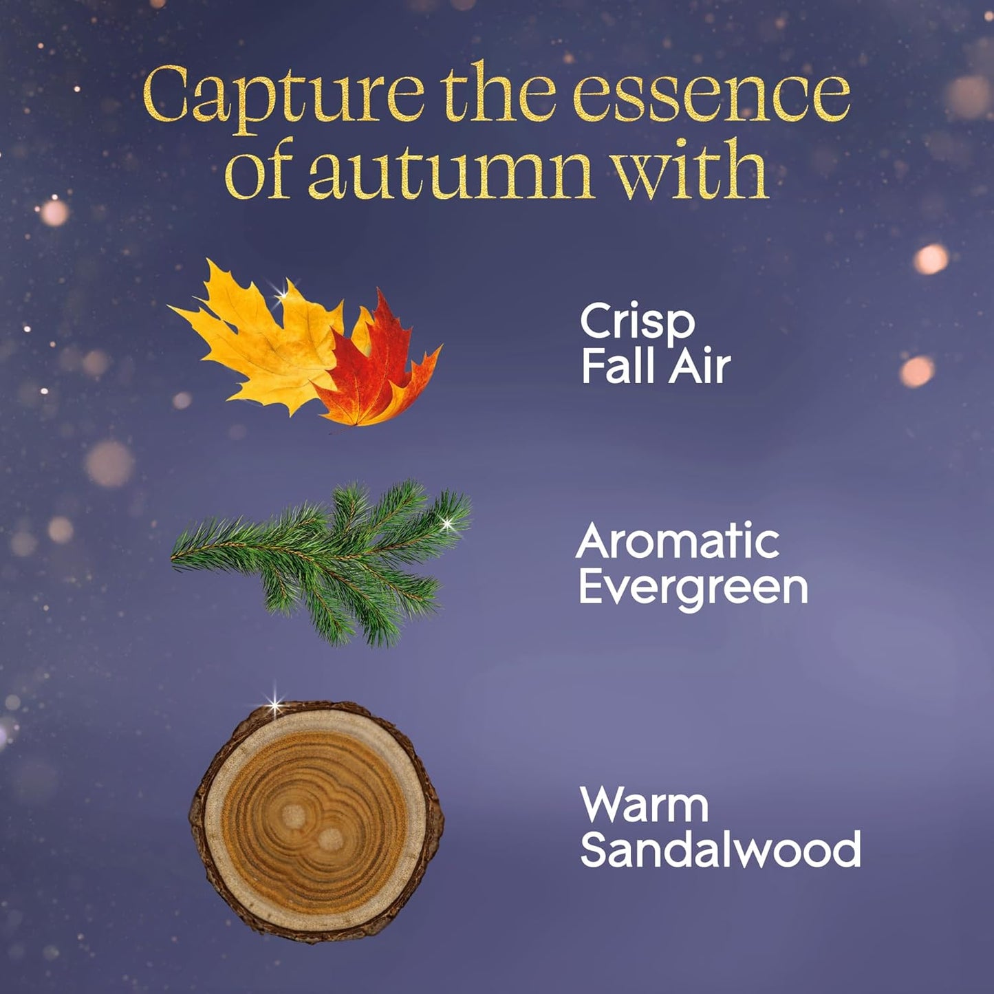 Glade PlugIns Refills Air Freshener, Embers & Sandalwood, Scented and Essential Oils for Home and Bathroom, 0.67 Fl Oz, 5 Count