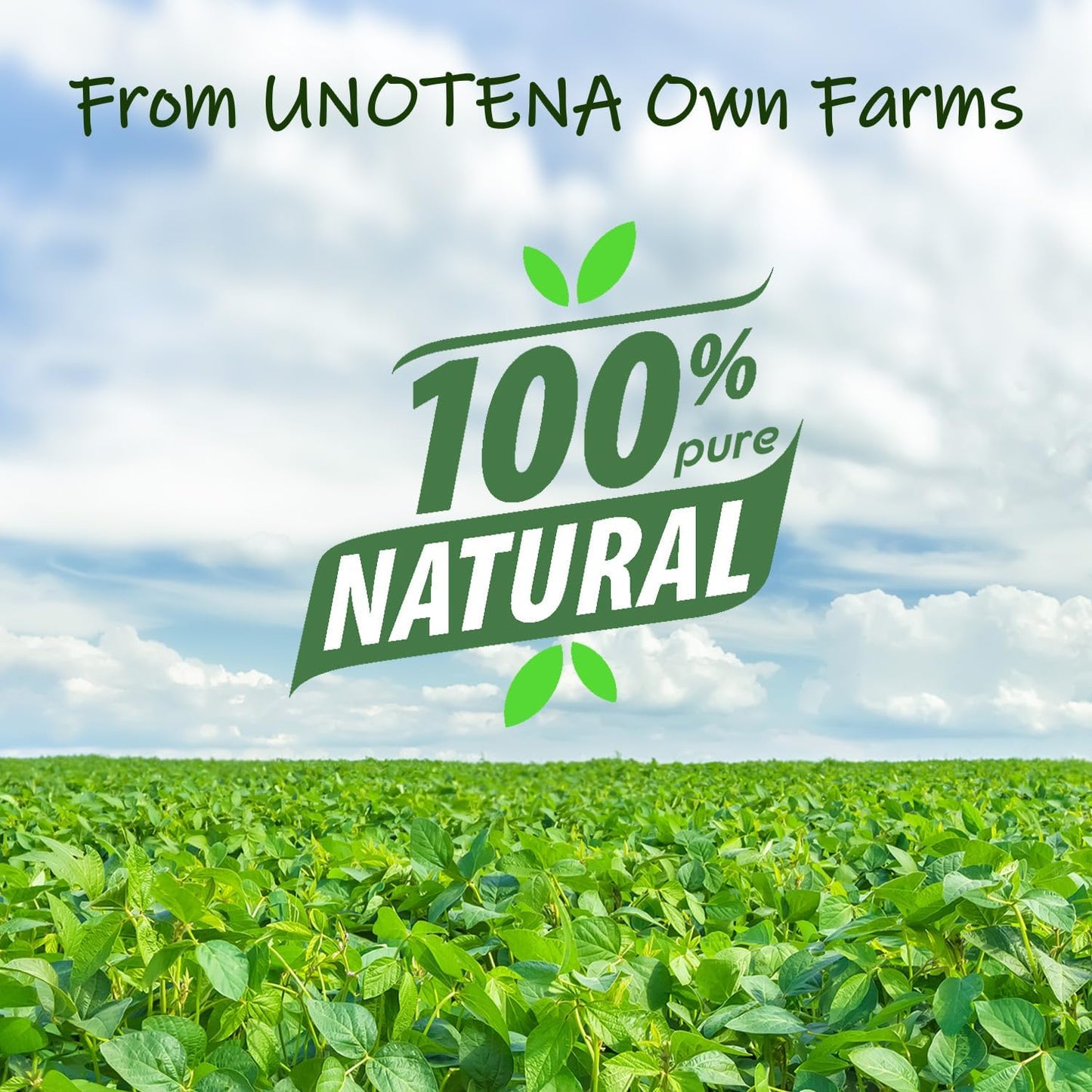 UNOTENA Soy Wax Flakes for Candle Making, Natural Candle Wax, Farm-Sourced, No Additives, Safe and Pure, 40LB