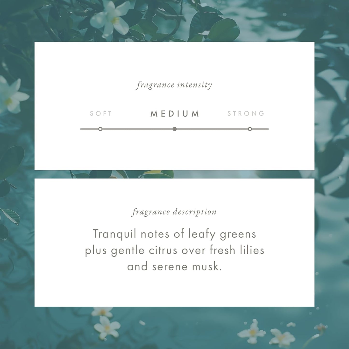 ScentAir Whisper Home Monthly Plug-in Refill, Fragrance Cartridge for Home and Office, Tranquil Waters