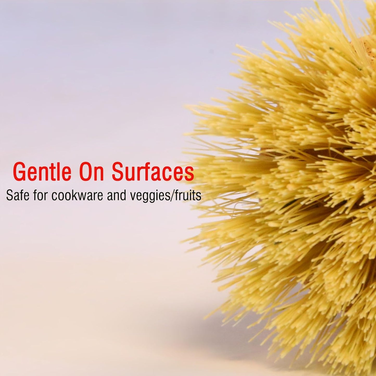 Bamboo Palm Dish Brush Set, Natural Bristle Dish Brush with Holder, Eco Friendly Soft Scrub Kitchen Brush for Dishes and Vegetables