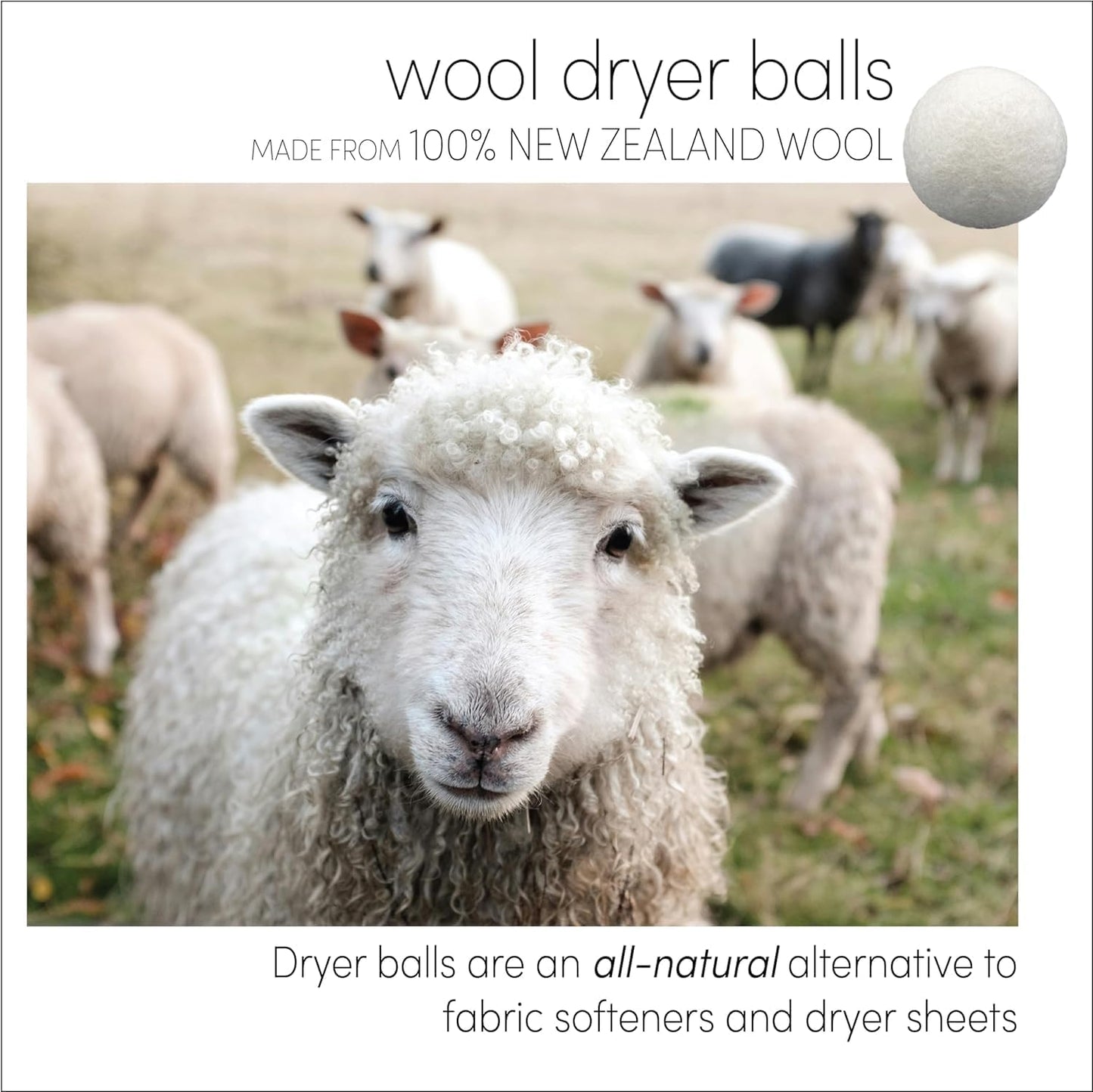 Three by Three Seattle Felt·Like·it!™ Wool Dryer Balls + Storage Bin: Reduce Drying Time, Static Cling, and Energy Use | Natural Alternative to Fabric Softeners (Pack of 6)