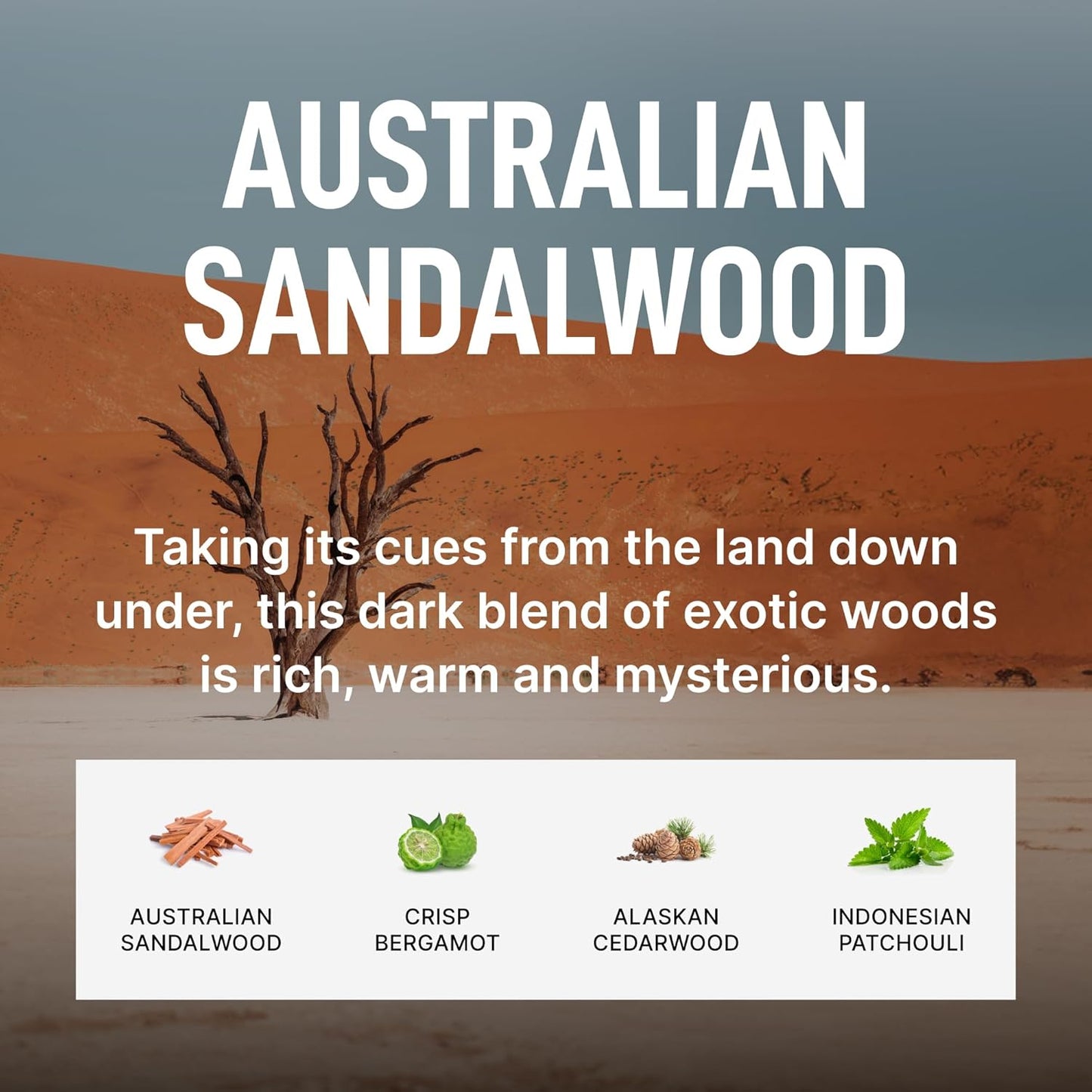 Laundry Sauce - Laundry Fabric Softener (Australian Sandalwood) Luxury Fragrance, Softens & Preserves Fabric, Reduces Wrinkles, 19 Fl Oz