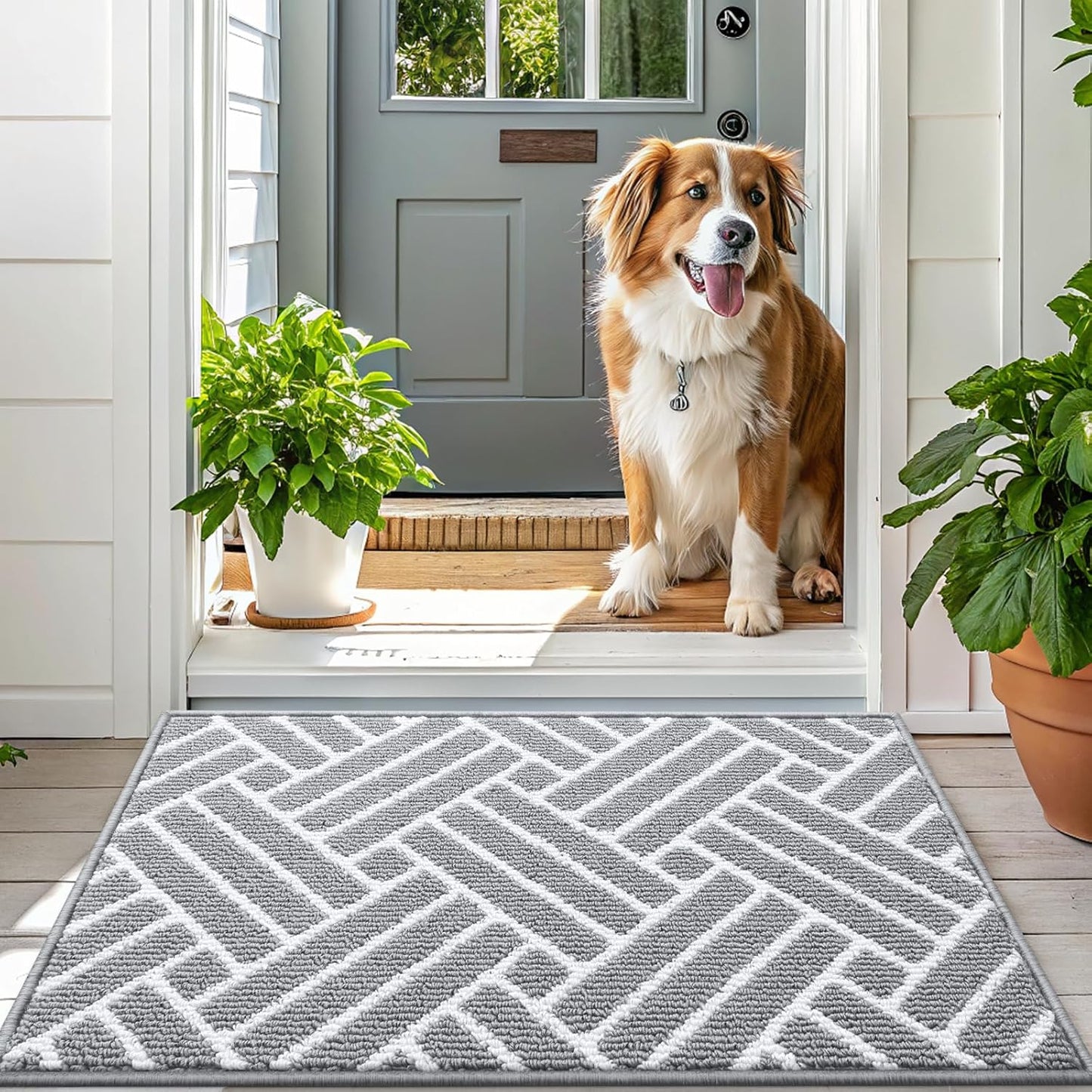OLANLY Indoor Door Mat, 32x20 Inch, Dirt Resistant and Absorbent, Non-Slip Rubber Backing Floor Mats, Easy Clean Low-Profile Doormat for Entryway, Front Door, and Inside Entrance, Light Grey