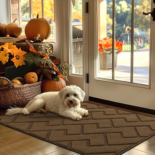 hicorfe Indoor Door Mat,Non Slip Door Mats,32"x48" Front Back Door Mat Rubber Backing,Absorbent Resist Dirt Entrance Inside Floor Mats for Entryway Washable Low-Profile(Dark Brown)