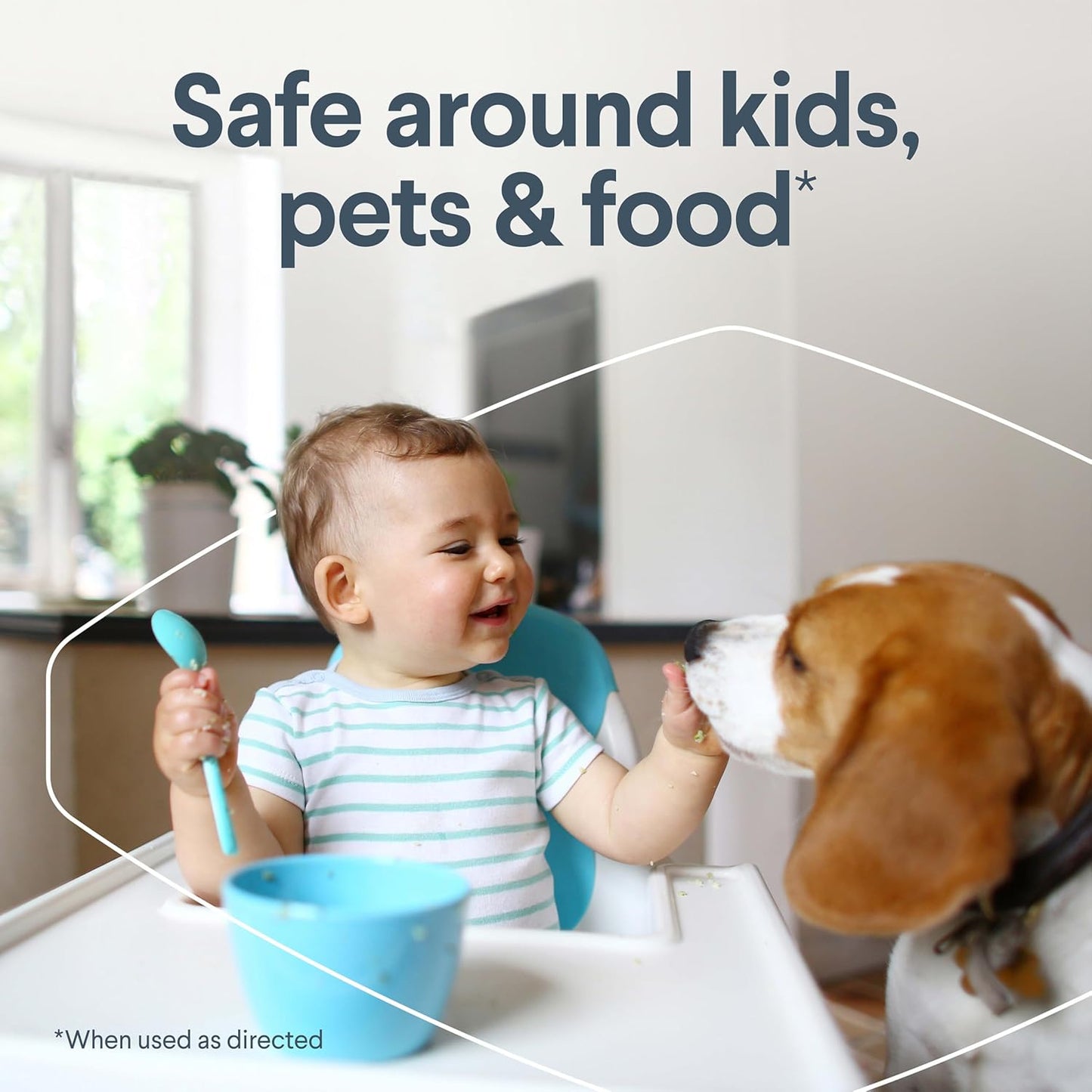 CLOROX Free & Clear Multi Surface Cleaner, Spray Bottle, Fragrance Free, 32 Fluid Ounces, Pack of 3