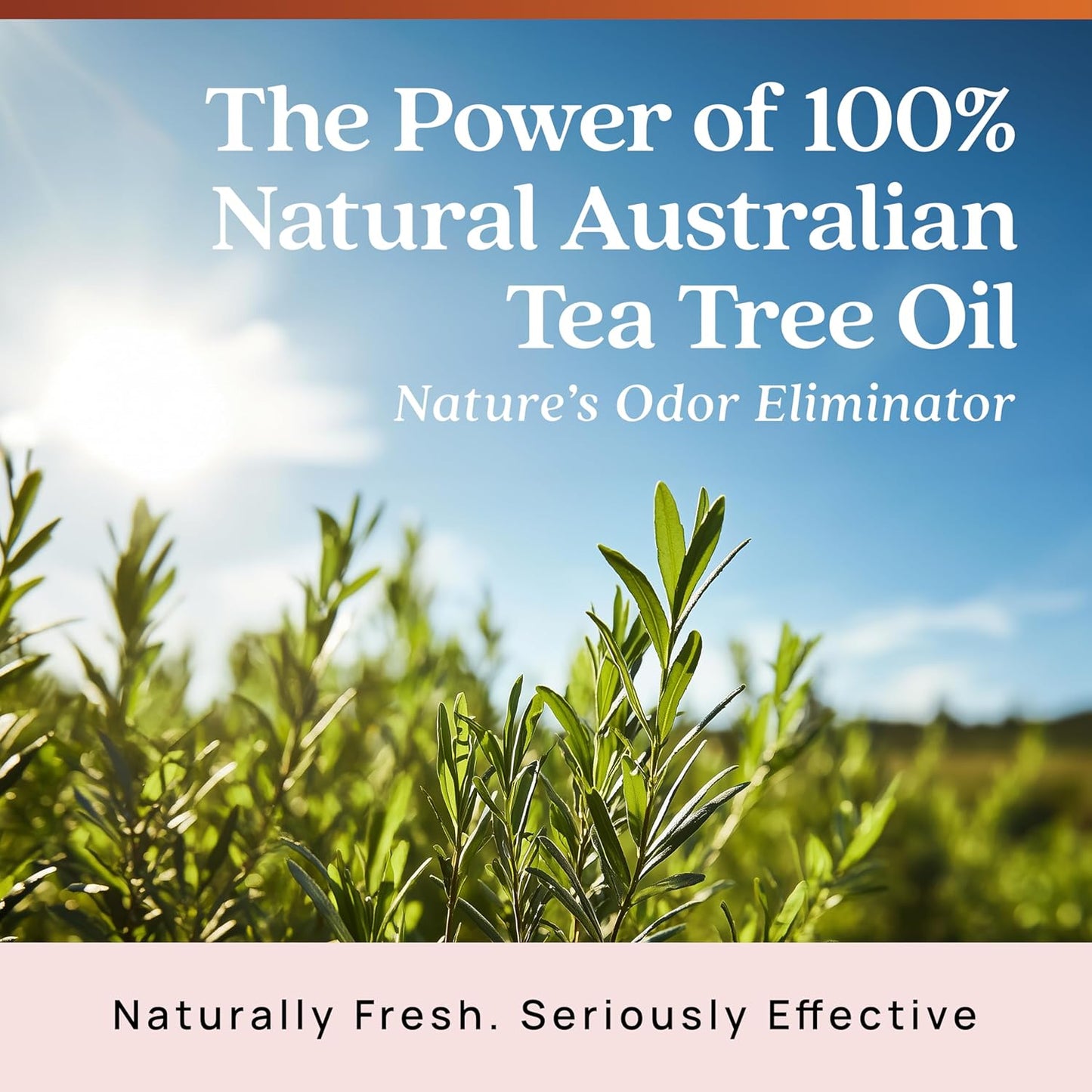 Azuna Air Freshener & Odor Eliminator for Strong Odor | 2 Room Kit Includes (2) Empty Luxe Glass Jar & 12oz Gel Refill with Tea Tree Essential Oil | Sandalwood Scent | Last 60-90 Days