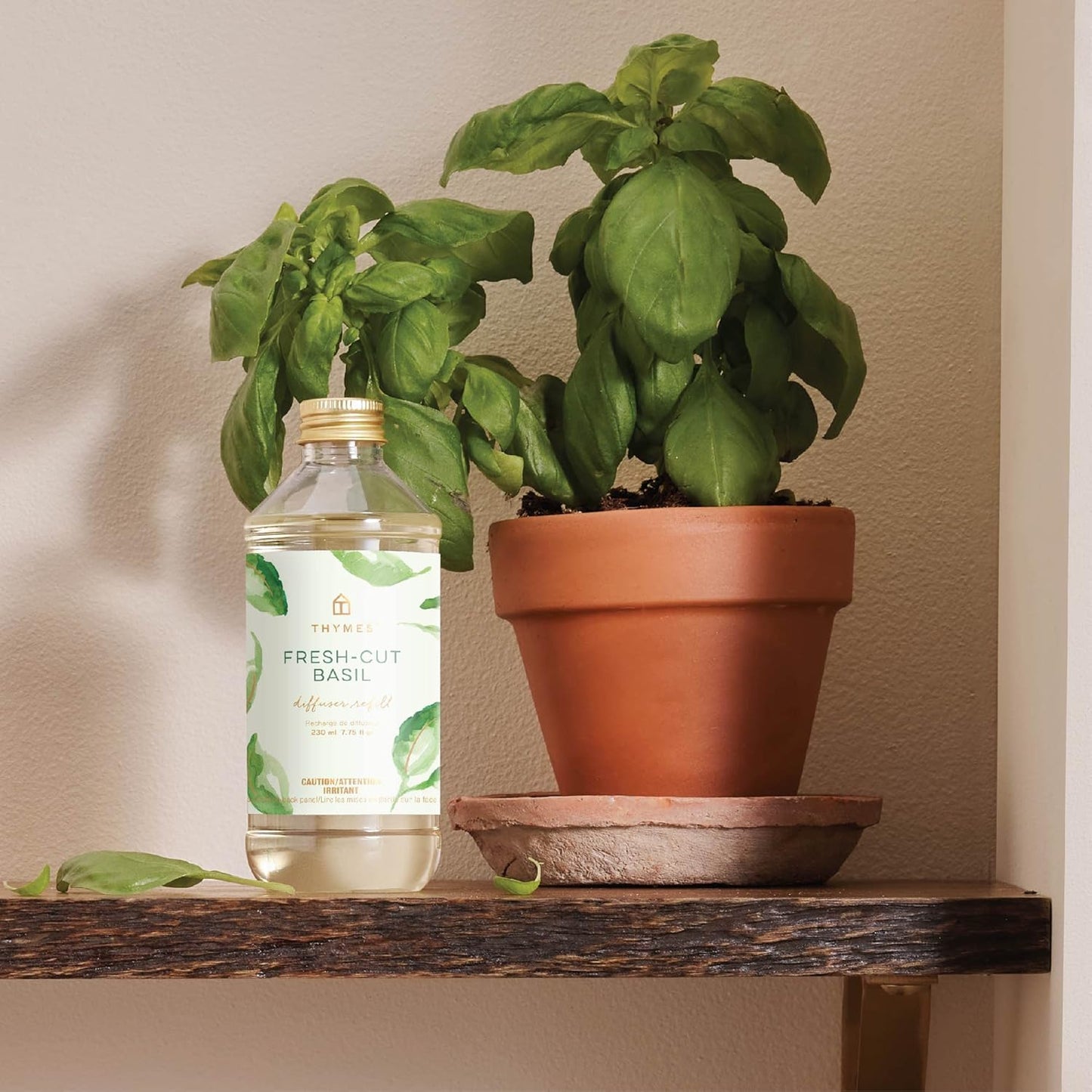 Thymes Reed Diffuser Oil - Fresh-Cut Basil - 7.75 Fl Oz