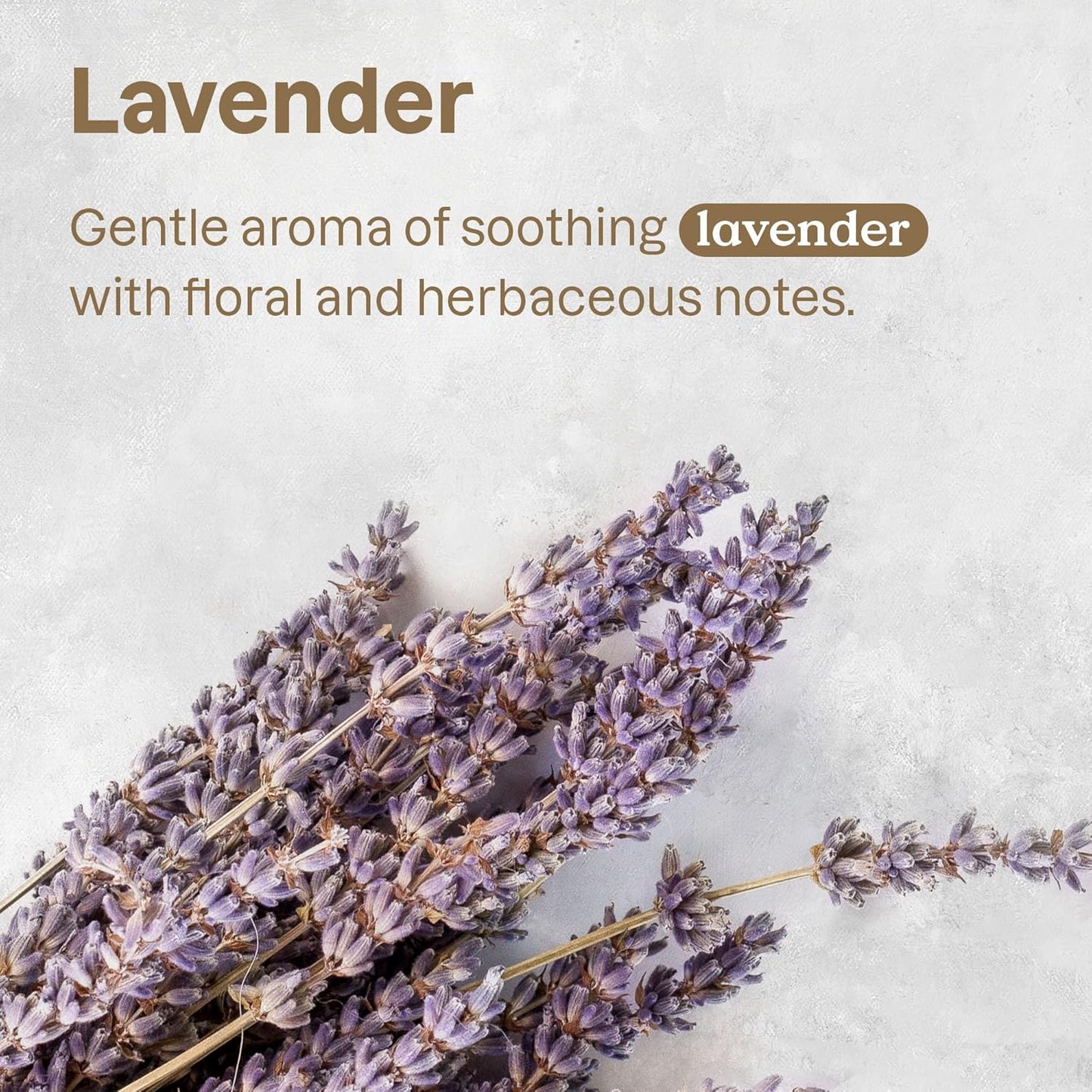 ATTITUDE Fabric Refresher for Pets, Neutralizes Odors, Plant and Mineral-Based Ingredients, Vegan and Cruelty-free, Bulk Refill, Lavender, 67.62 Fl Oz