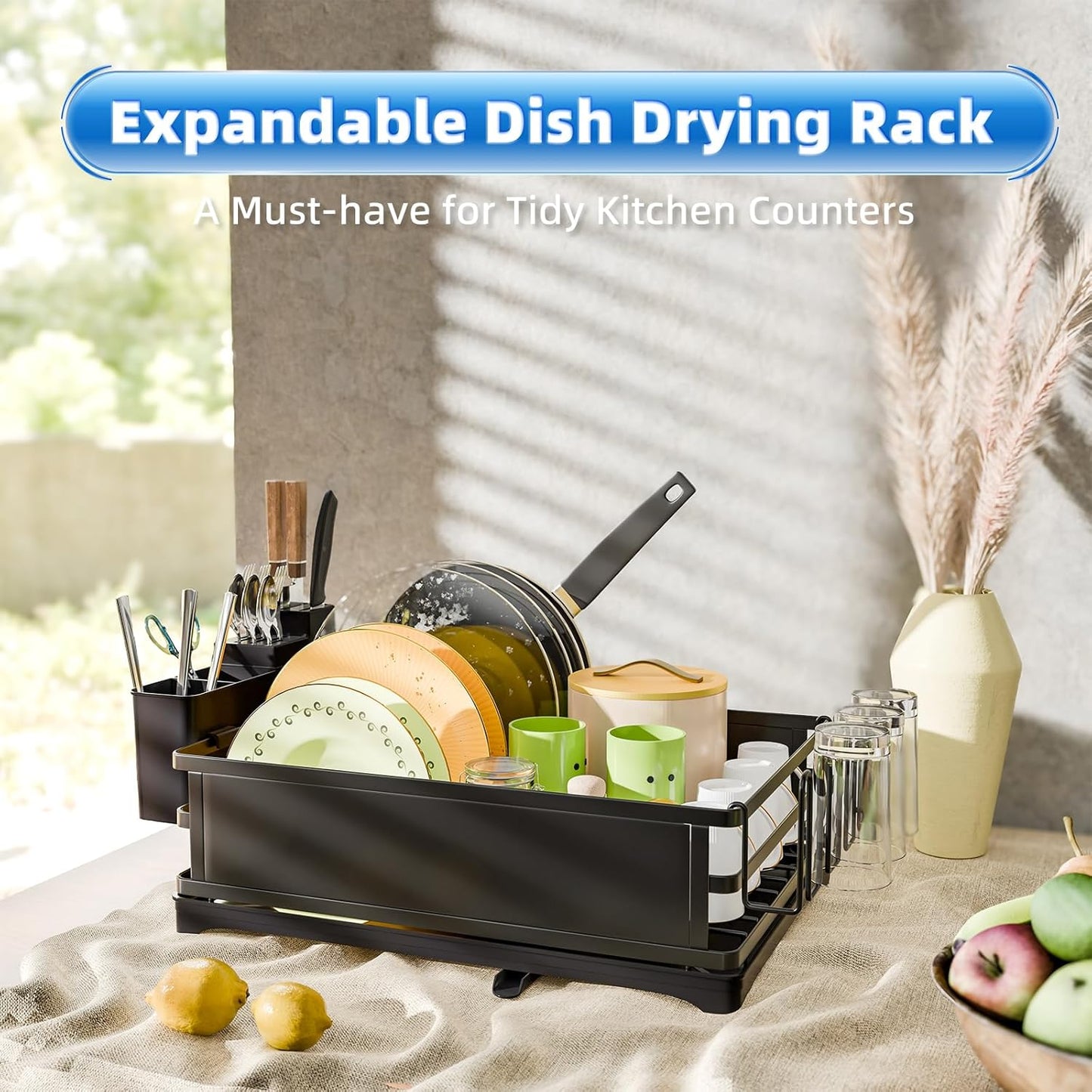 Simple Trending Dish Rack, Steel Dish Drying Rack for Kitchen Counter, Dish Drainer with Cutlery Holder for Large Capacity, Dish Drying Rack with drip Tray, Black