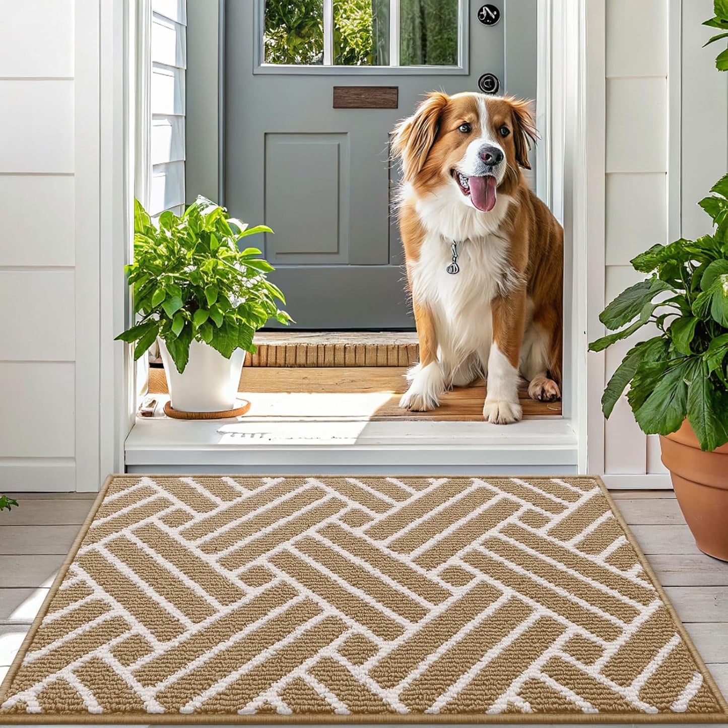 OLANLY Indoor Door Mat, 32x20 Inch, Dirt Resistant and Absorbent, Non-Slip Rubber Backing Floor Mats, Easy Clean Low-Profile Doormat for Entryway, Front Door, and Inside Entrance, Beige