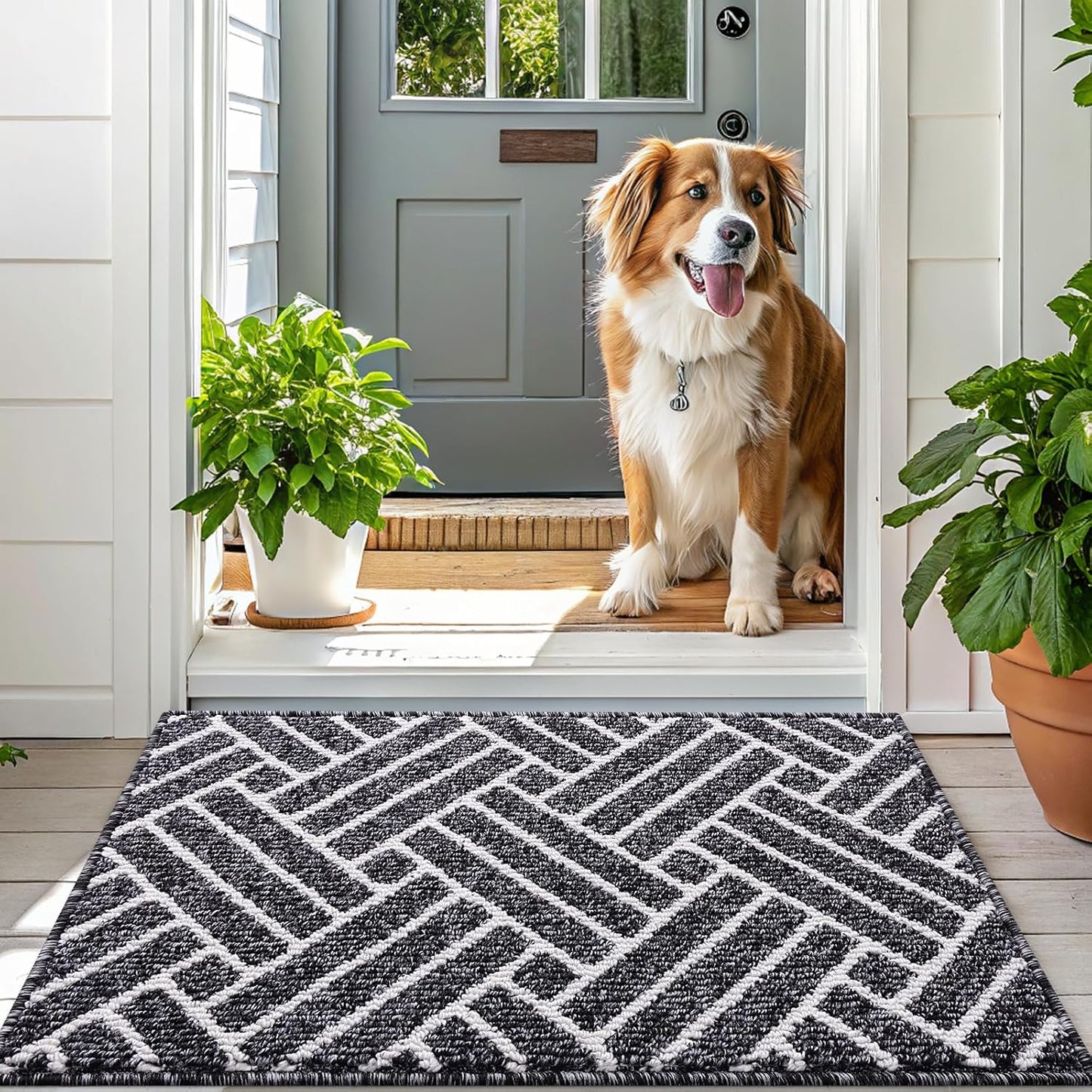 OLANLY Indoor Door Mat, 36x24 Inch, Dirt Resistant and Absorbent, Non-Slip Rubber Backing Floor Mats, Easy Clean Low-Profile Doormat for Entryway, Front Door, and Inside Entrance, Black