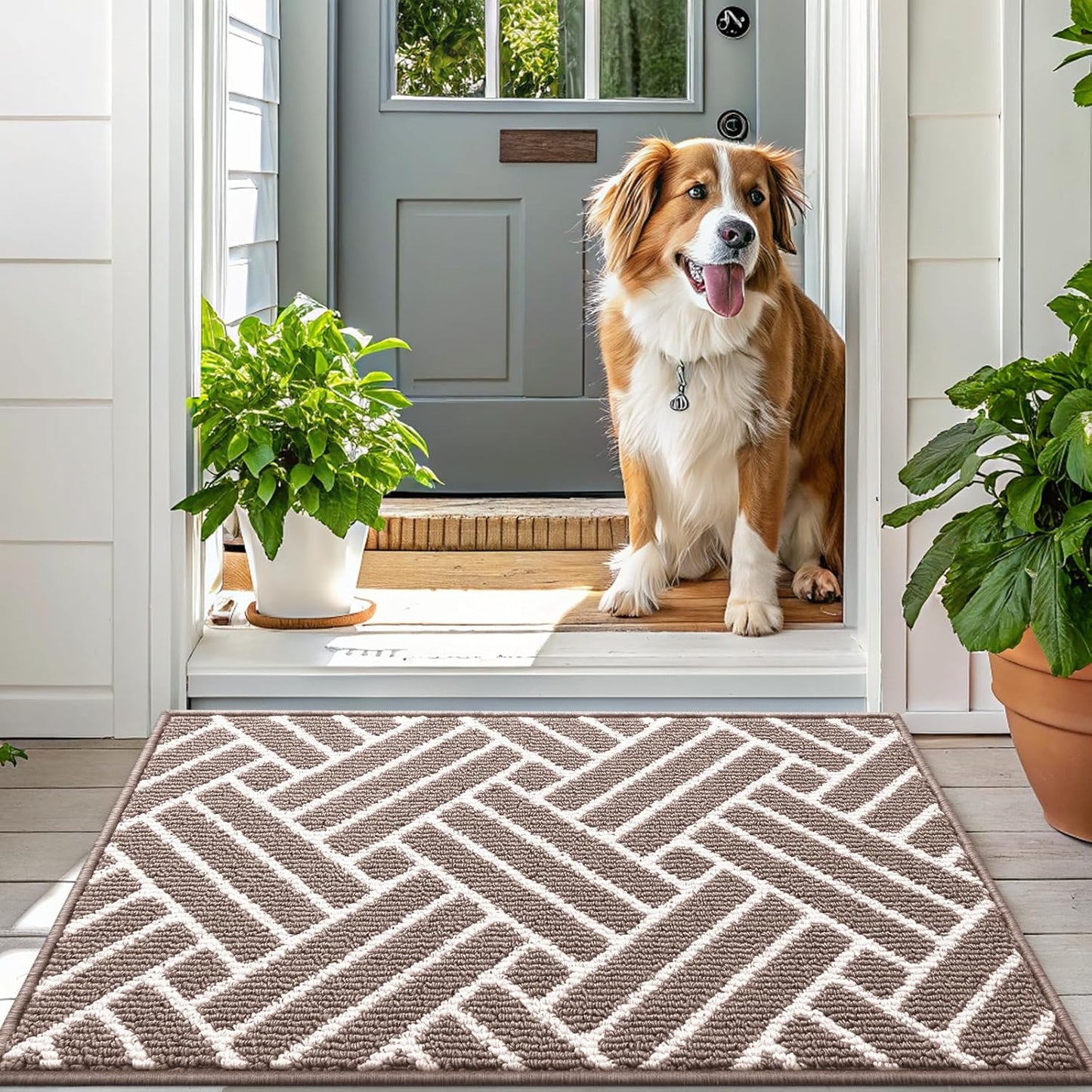 OLANLY Indoor Door Mat, 36x24 Inch, Dirt Resistant and Absorbent, Non-Slip Rubber Backing Floor Mats, Easy Clean Low-Profile Doormat for Entryway, Front Door, and Inside Entrance, Brown