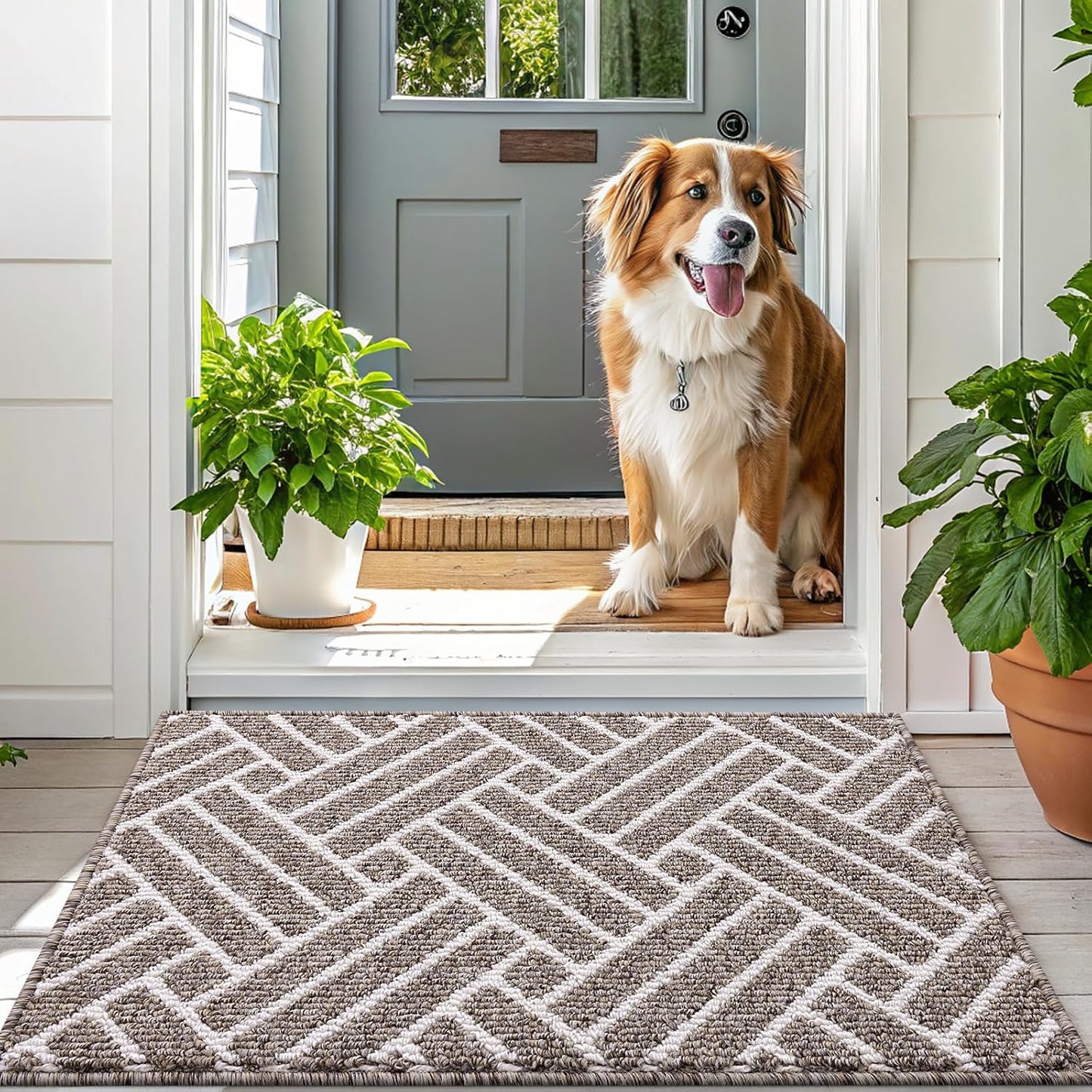 OLANLY Runner Indoor Door Mat, 70x23 Inch, Dirt Resistant and Absorbent, Non-Slip Rubber Backing Floor Mats, Easy Clean Low-Profile Doormat for Entryway, Front Door, and Inside Entrance, Khaki