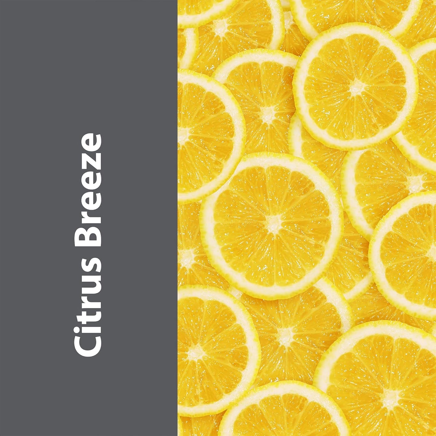 Pro-Grade Multi-Purpose Probiotic Enzyme Cleaner - Pet Stain and Odor Remover, Drain Cleaner - Powerful Cleaning & Odor Eliminating Formula For Professional & Home Surfaces - 32 Ounce