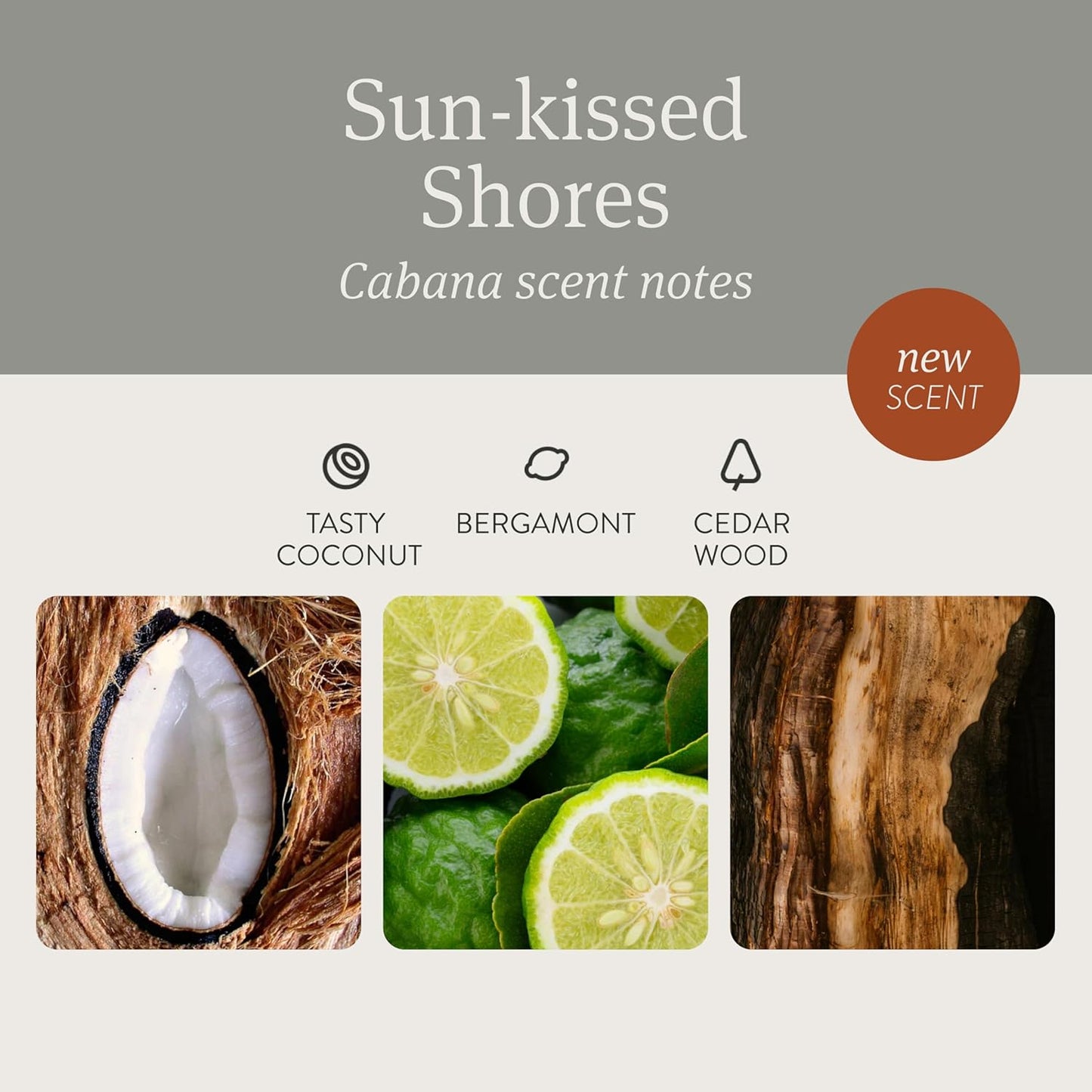 Drift Car Air Freshener - The Original Stone Air Freshener - Car Odor Eliminator - Long Lasting Scent - Metal Clip - Essential Oils - Clean Ingredients - Cabana Scent 3 Pack Refill - NO CLIP INCLUDED