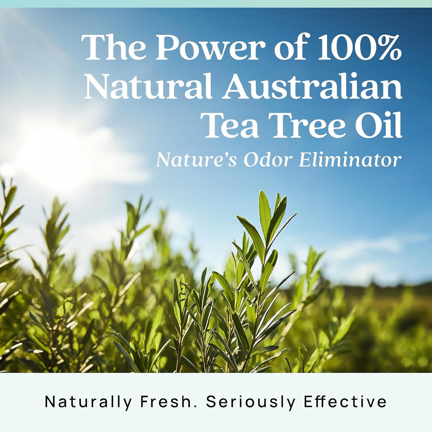 Azuna Air Freshener & Odor Eliminator Gel 4 Room Kit, Includes (4) 8 oz. Empty Luxe Glass Jars & 24 oz. Refill with Tea Tree Essential Oil, Amalfi Breeze, Works 24/7 for 60-90 Days