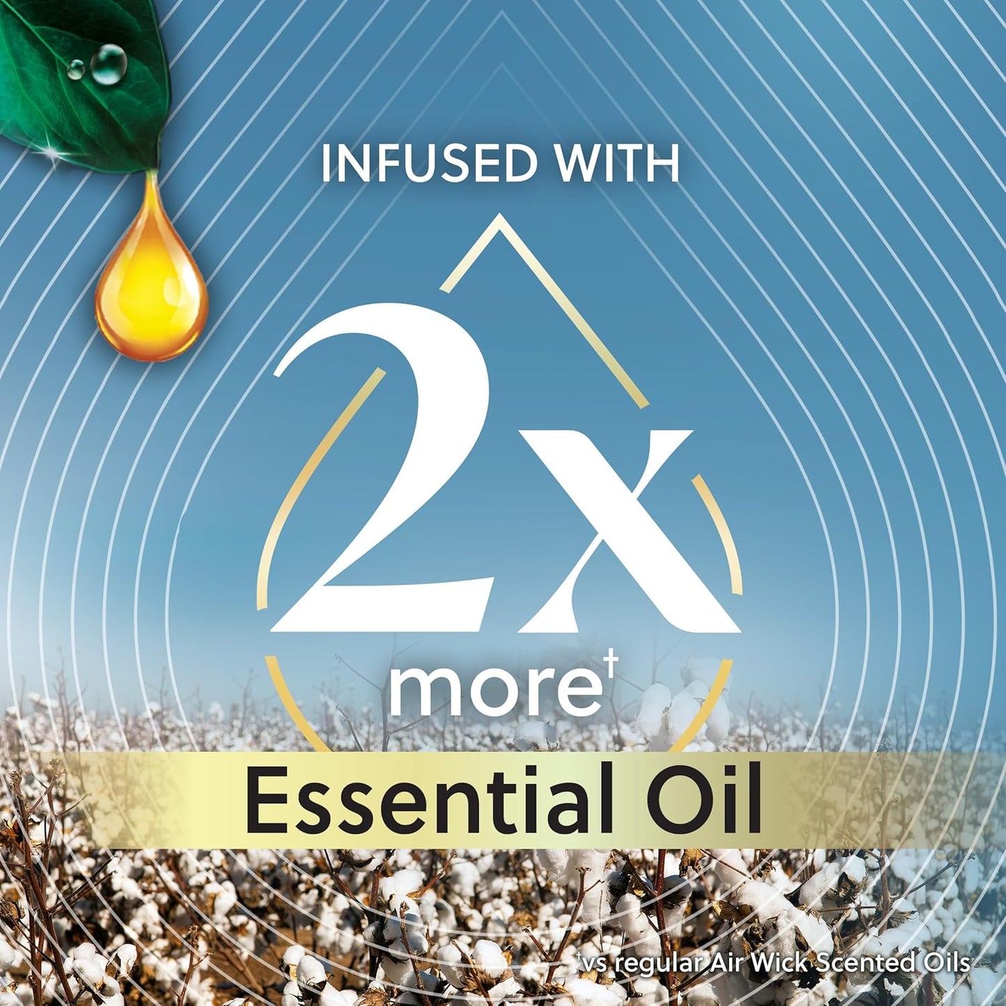 AIR WICK Scented Oil - Vibrant Refill Cotton & White Lotus 5 ct.