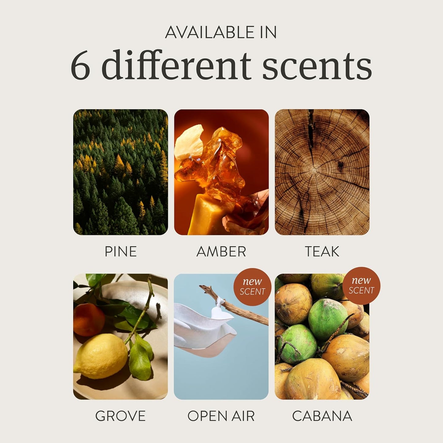 Drift Car Air Freshener - The Original Wood Air Freshener - Car Odor Eliminator - Long Lasting Scent - Auto Accessories - Metal Clip - Essential Oils - Clean Ingredients - Amber Scent Starter Kit