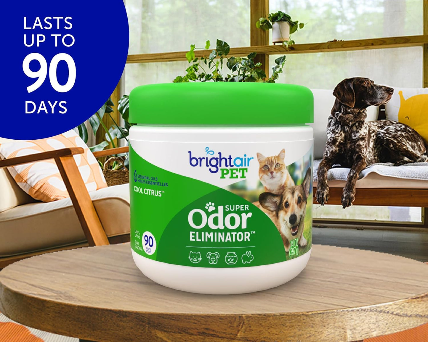 Bright Air 14 oz. Super Odor Eliminator, for Medium-Size Spaces, Cool Citrus Scent, Case of 6, Air Freshener, Natural Essential Oils, Lasts Up to 90 Days Each