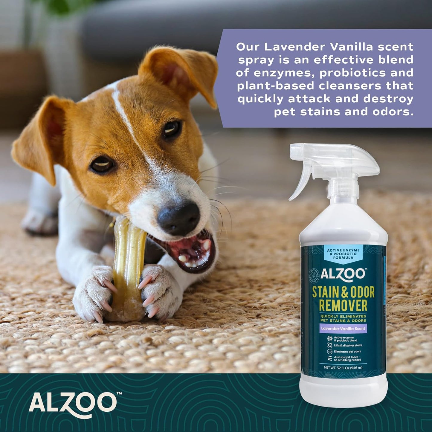 ALZOO Stain & Odor Remover, Quickly Lifts & Dissolves Pet Stains & Helps Eliminate Odors, 100% Plant-Based Active Ingredients, Lavender Vanilla Scent, 32 Fl. Oz Spray Bottle