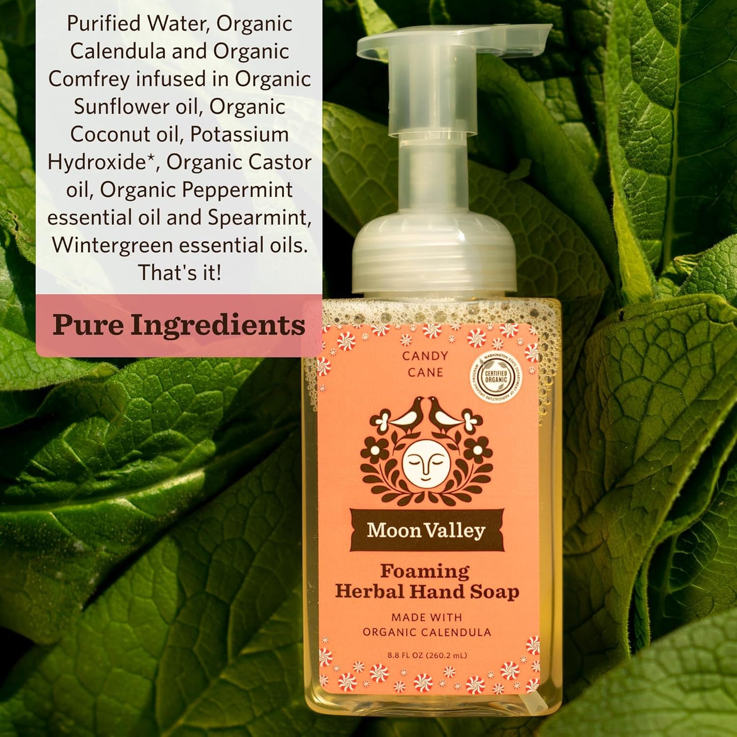Moon Valley Herbal Foaming Hand Soap, Vegan (Candy Cane, Recyclable Bottle)