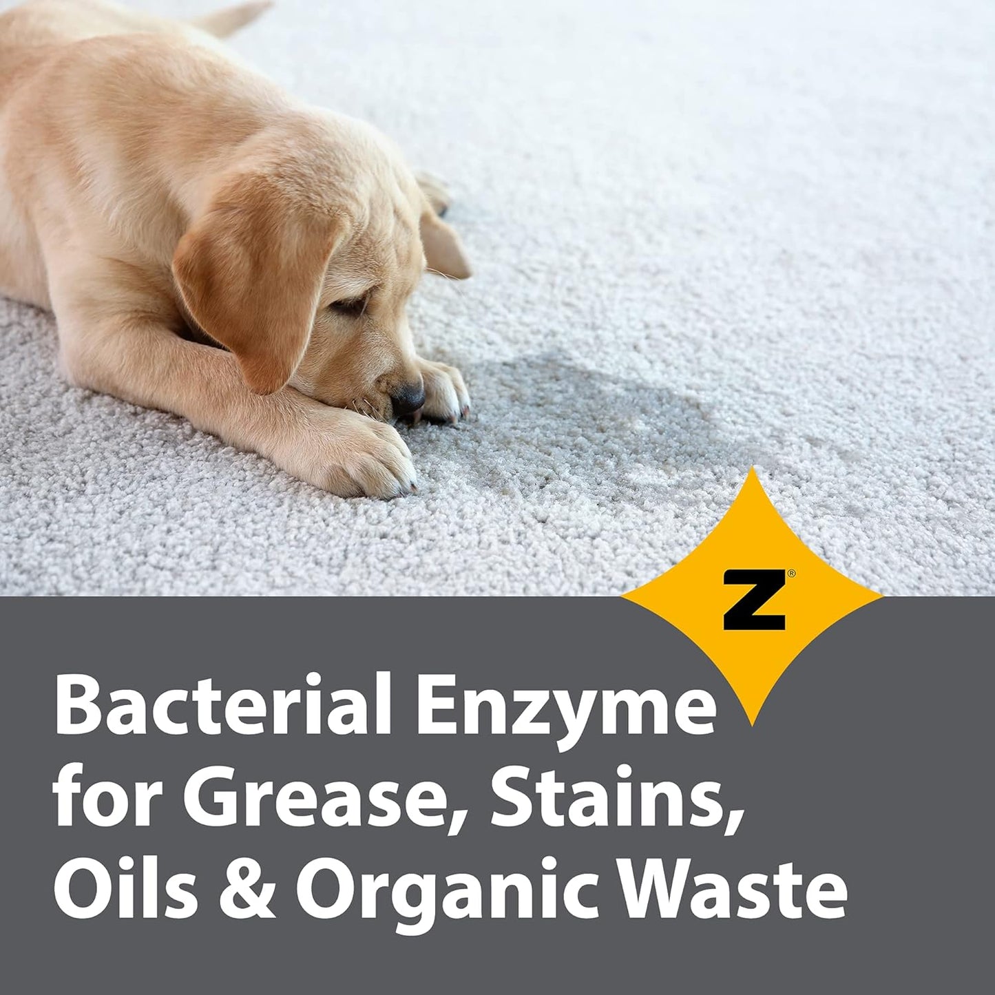 Pro-Grade Multi-Purpose Probiotic Enzyme Cleaner - Powerful Cleaning & Odor Eliminating Formula For Professional & Home Surfaces - 32 Ounce - Fragrance Free