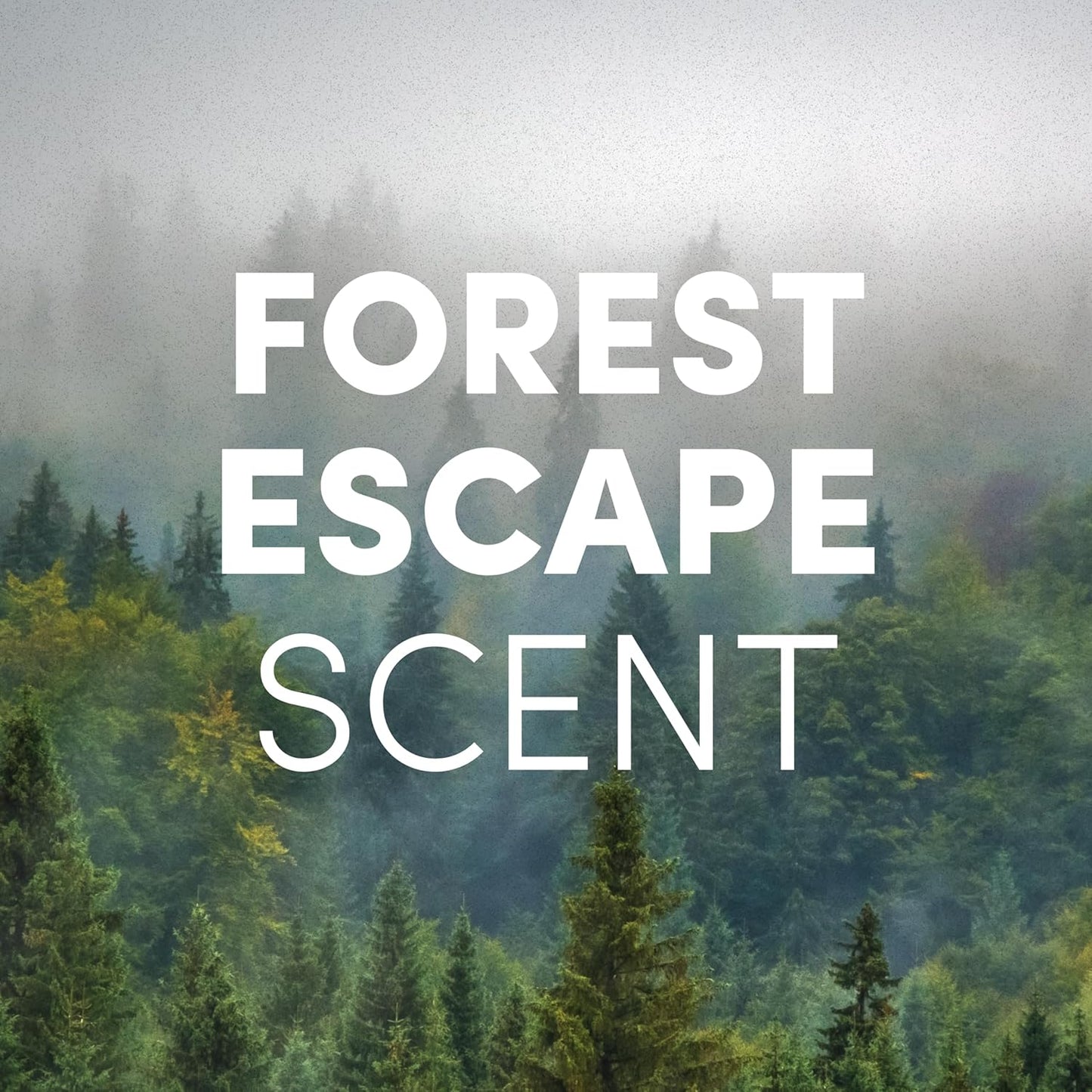 Clean Revolution Liquid Gel Hand Soap, Silky Rich Liquid, Quick Lather, Fast Rinsing, Contains Real Essential Oils (Forest Escape) 128 Fl Oz