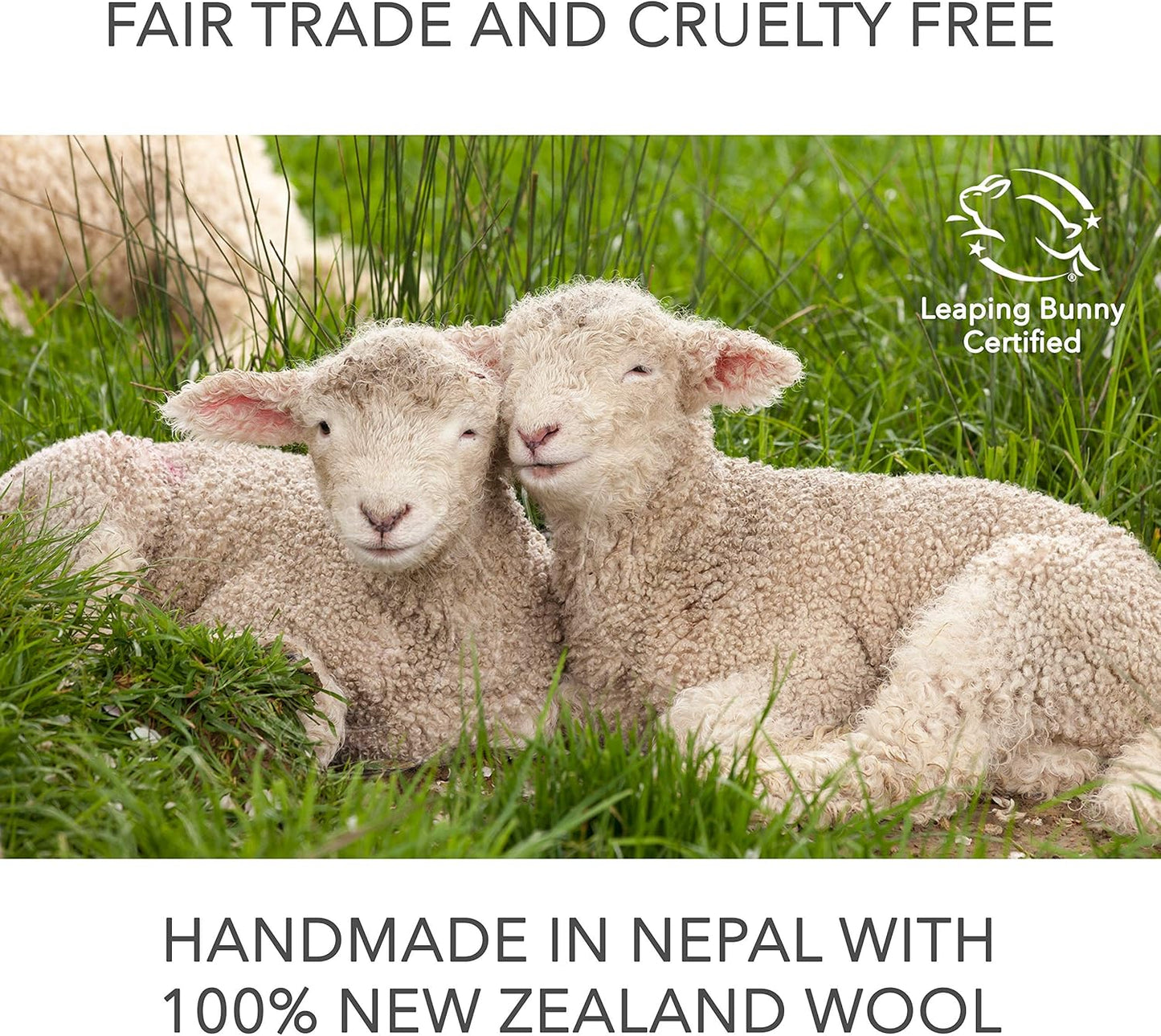 Friendsheep Wool Dryer Balls, Organic Reusable Fabric Softener Alternative for Laundry, Handmade, Fair Trade, Hypoallergenic, Eco-Friendly, Plastic-Free (3 Pack XL – Ladybug)