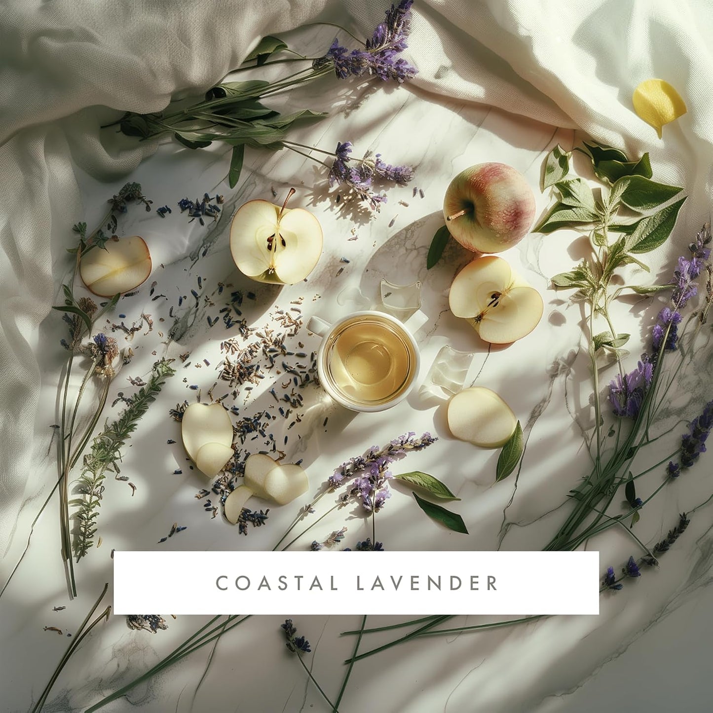 ScentAir Whisper Home Monthly Plug-in Refill, Fragrance Cartridge for Home and Office, Coastal Lavender Pet Calming