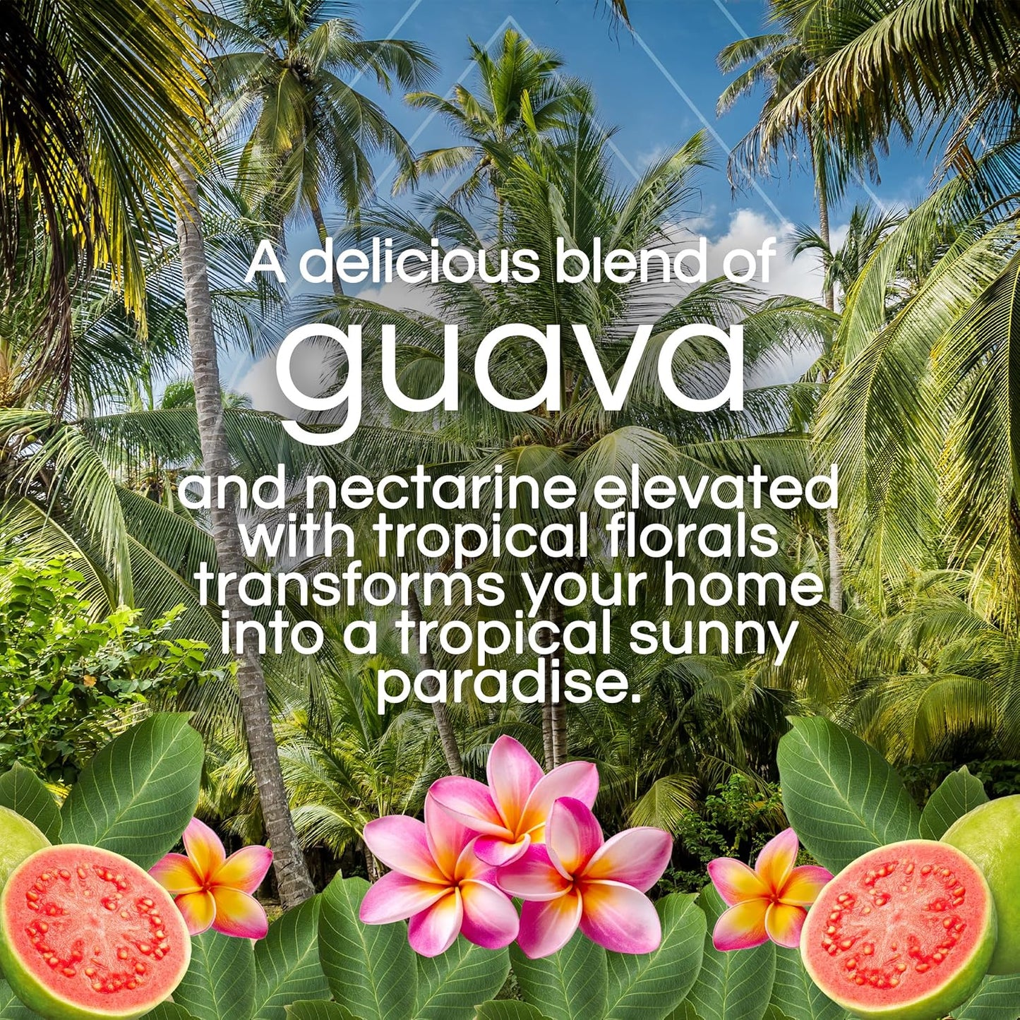 Air Wick Vibrant Plug in Scented Oil Refill, 5ct, Nectarine & Paradise Flower, Air Freshener, Essential Oils